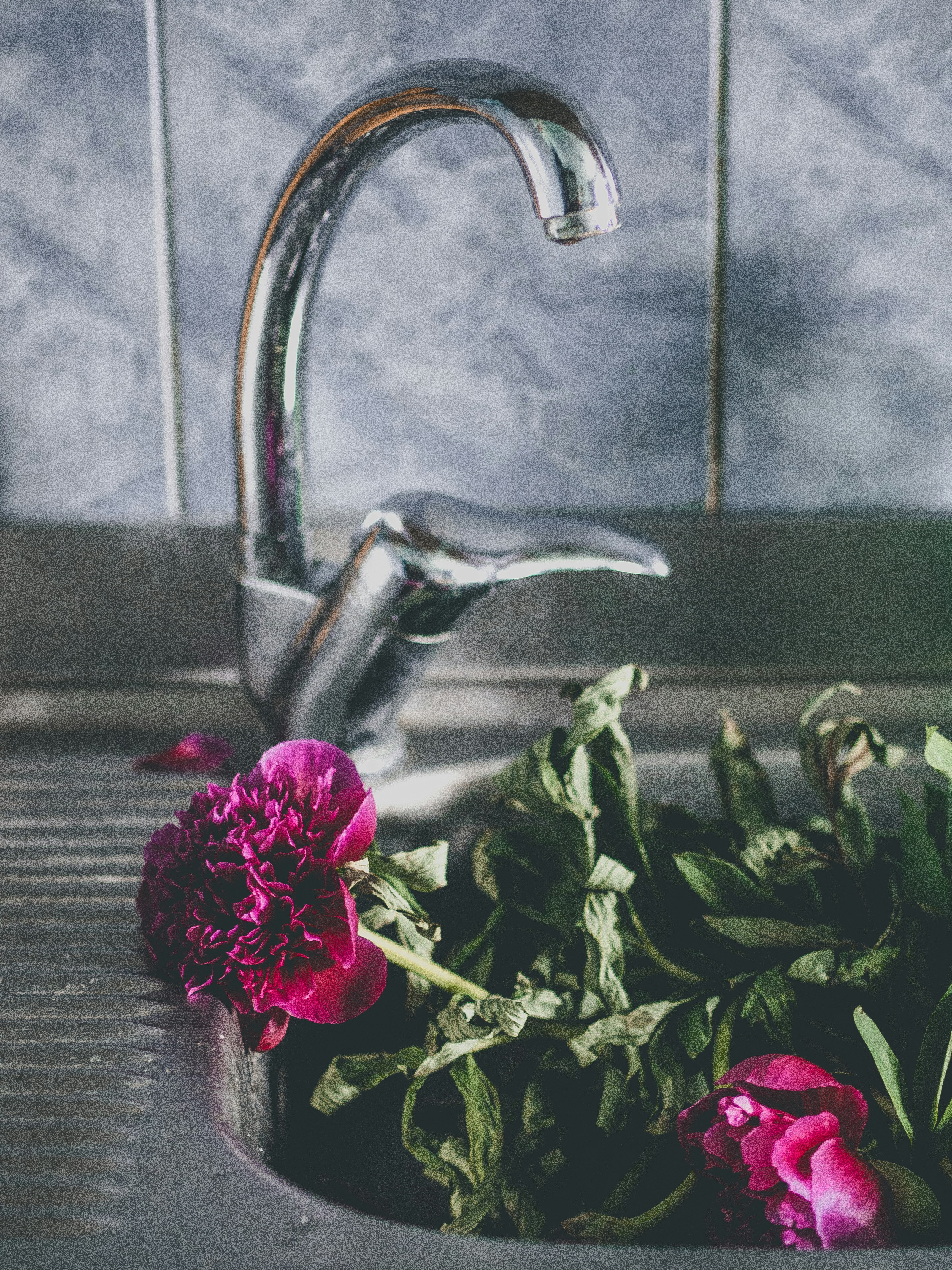 Photo by marta_alexandra