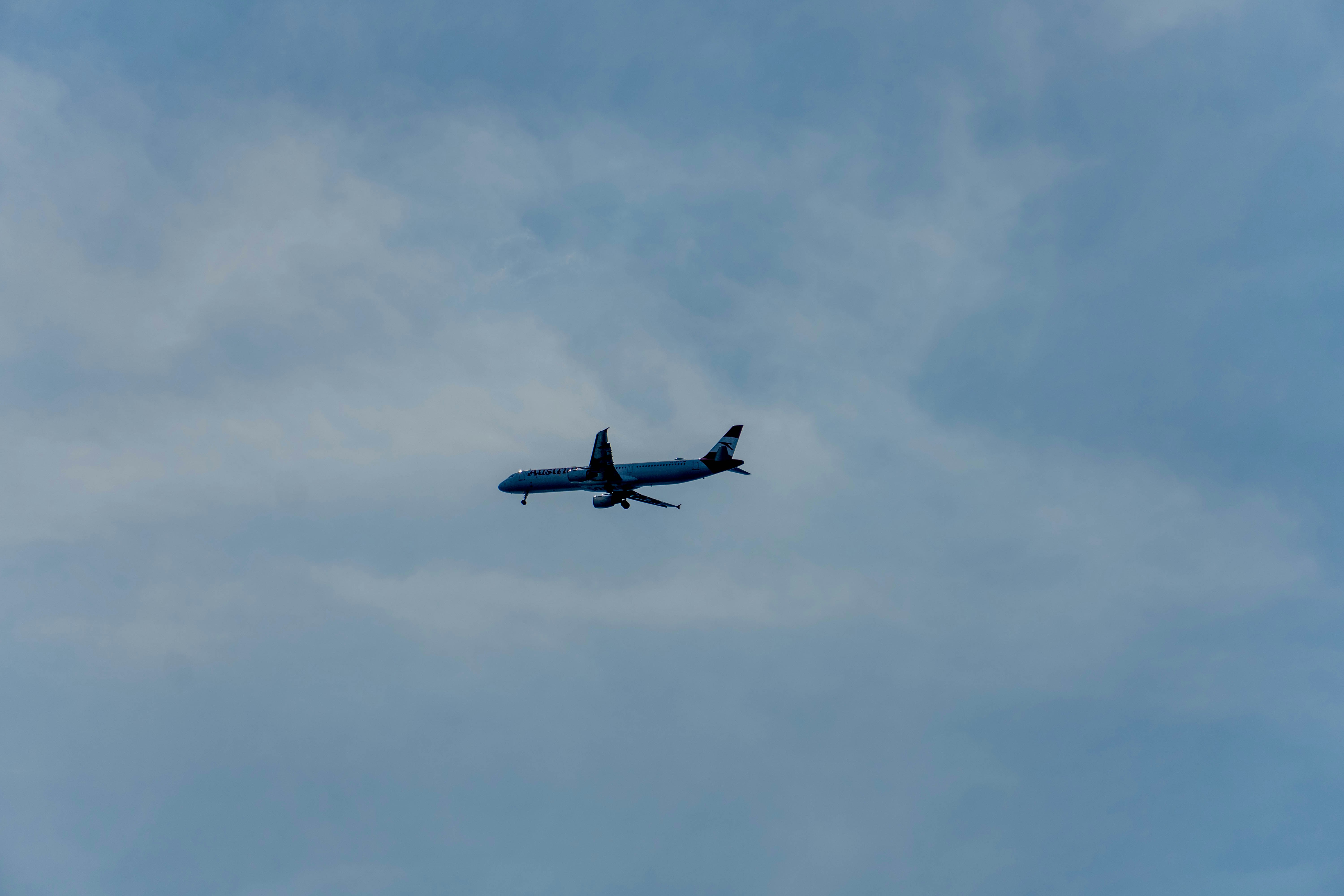 Photo by lostillusion