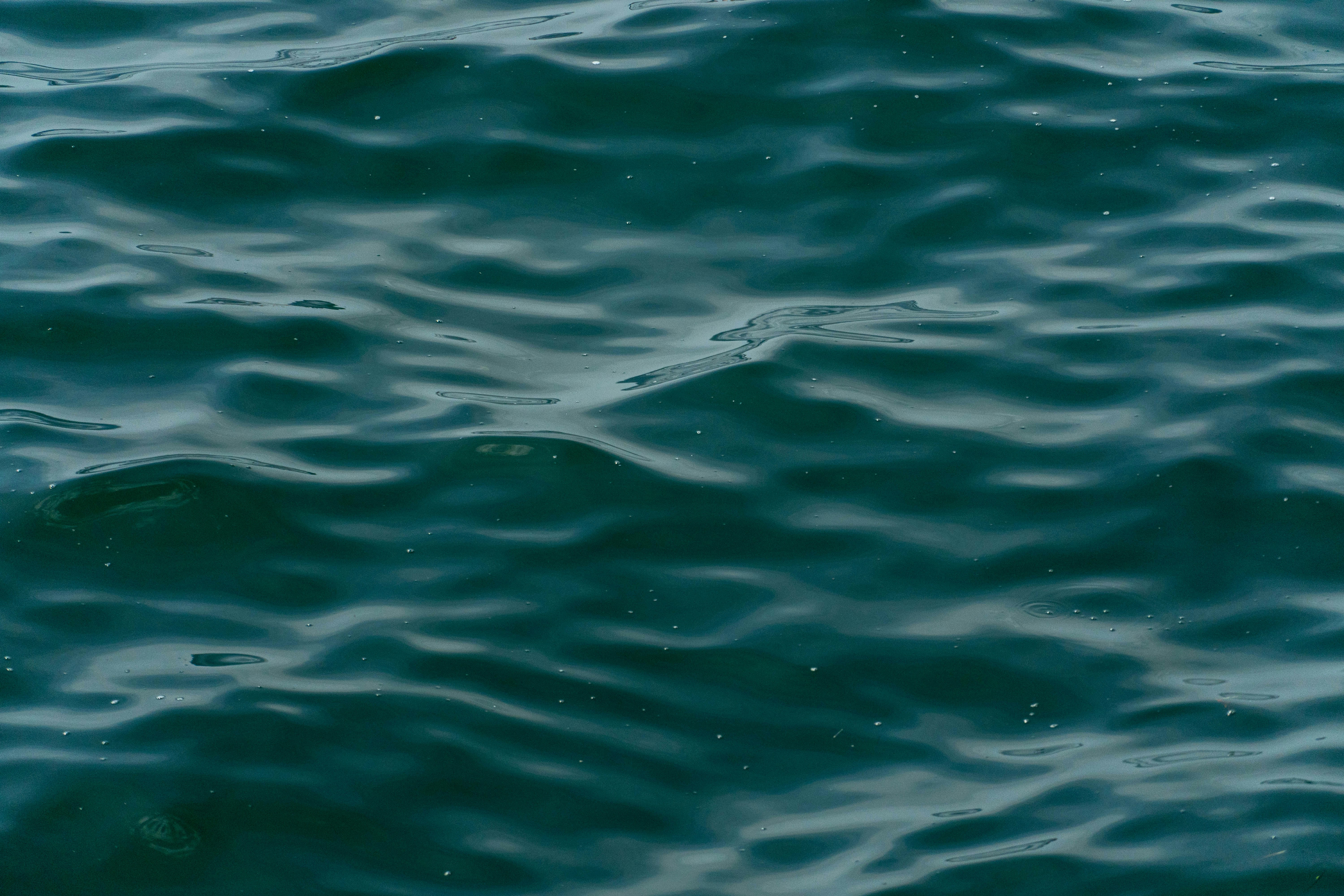 Photo by lostillusion