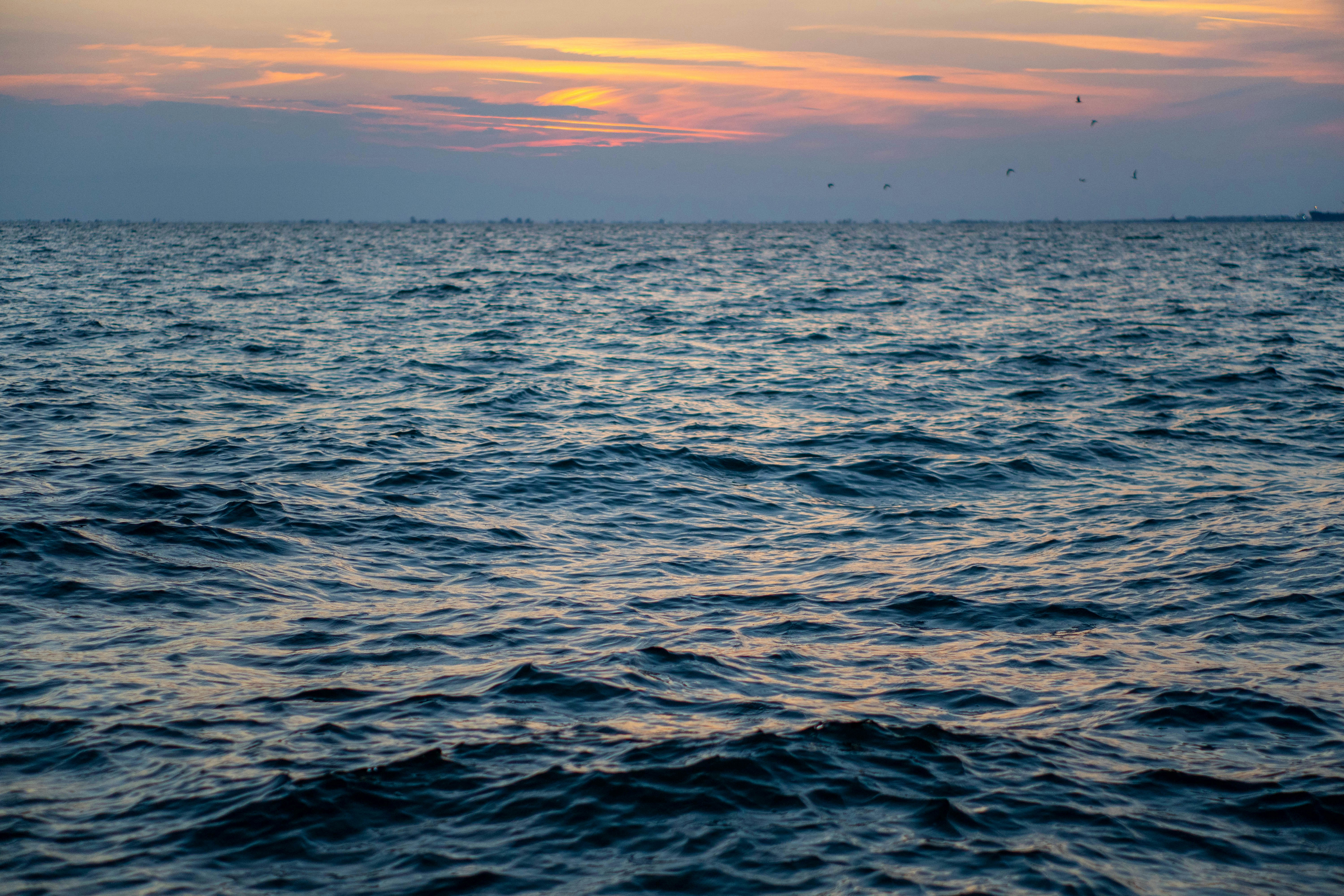 Photo by lostillusion