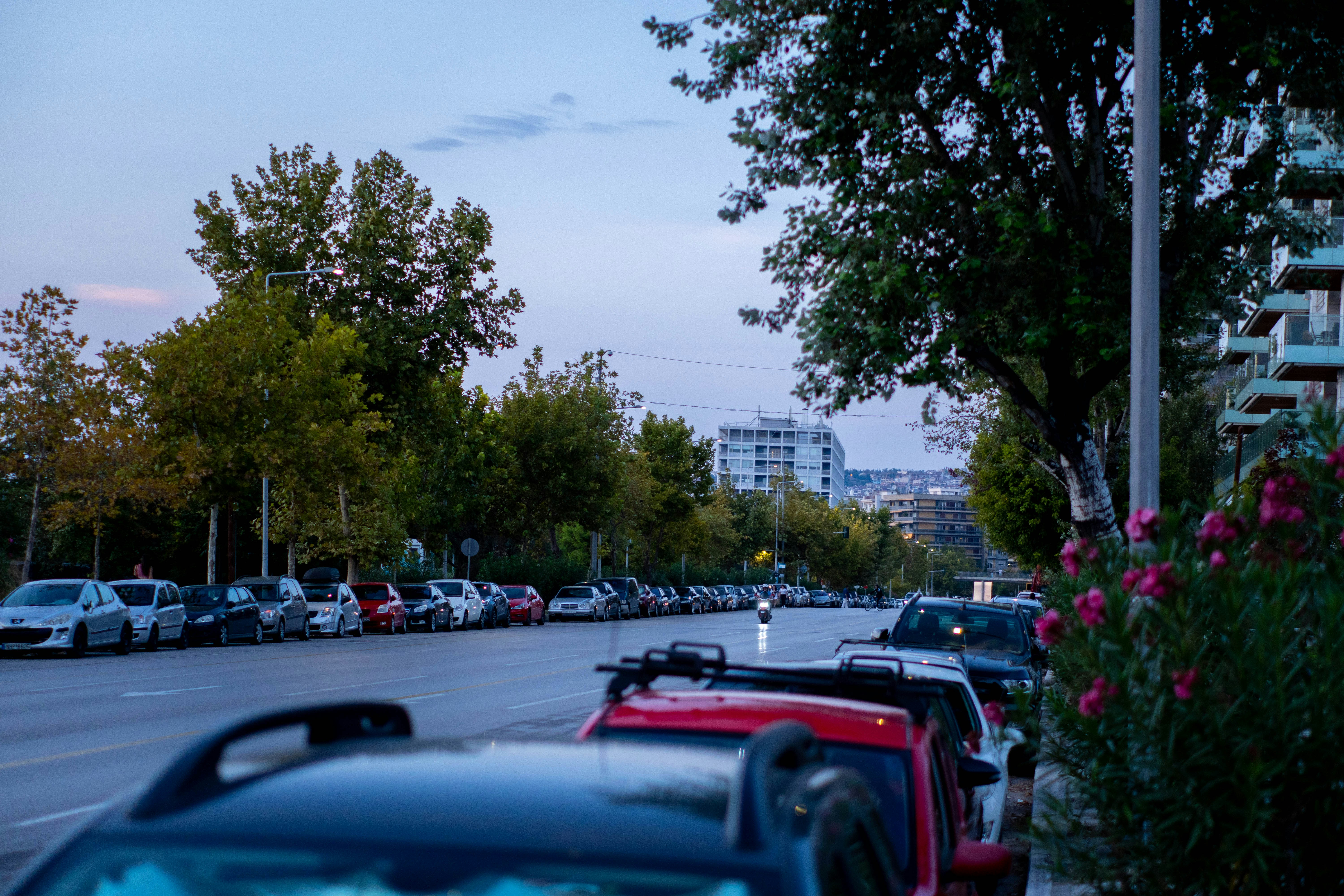 Photo by lostillusion