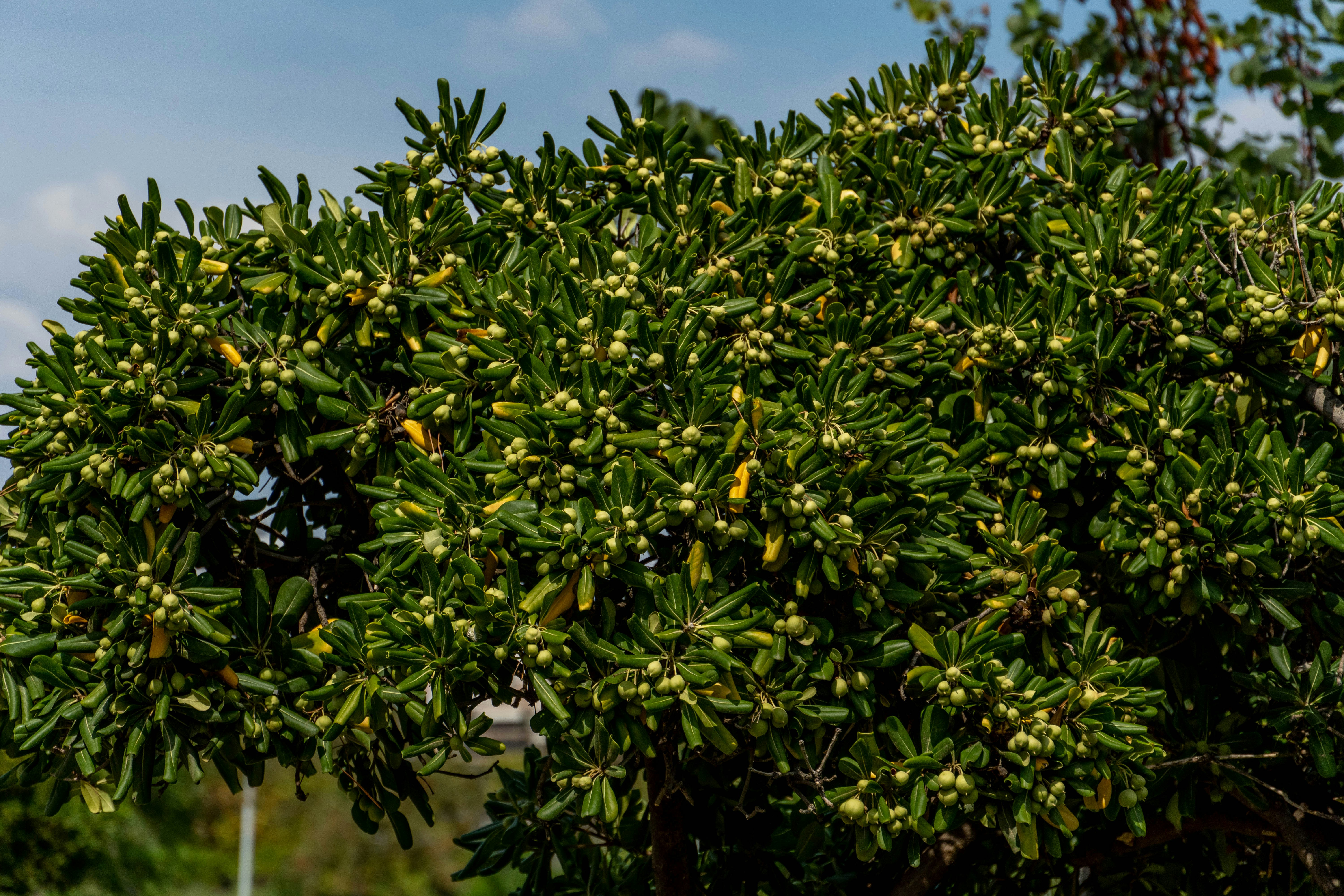 Photo by lostillusion