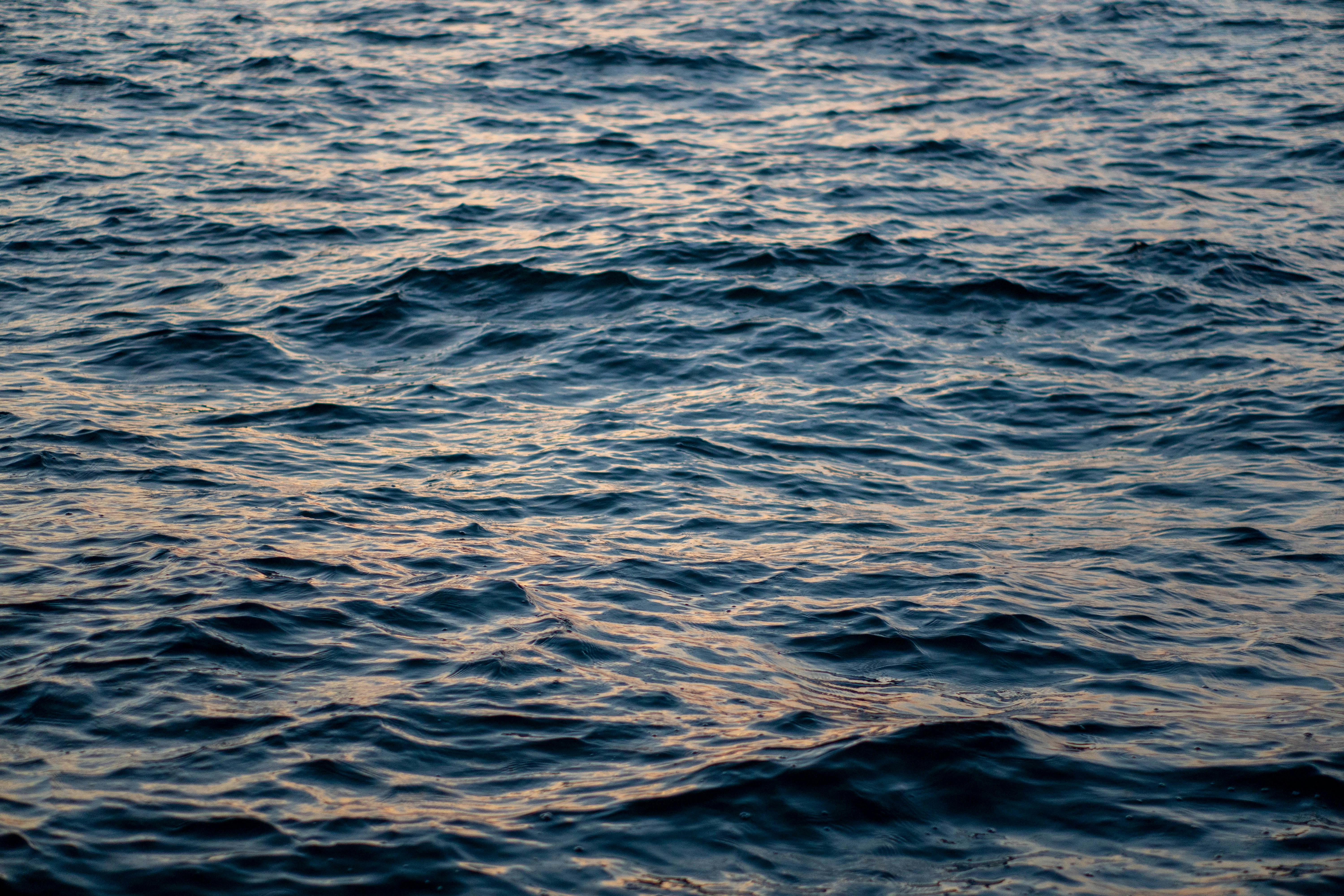 Photo by lostillusion