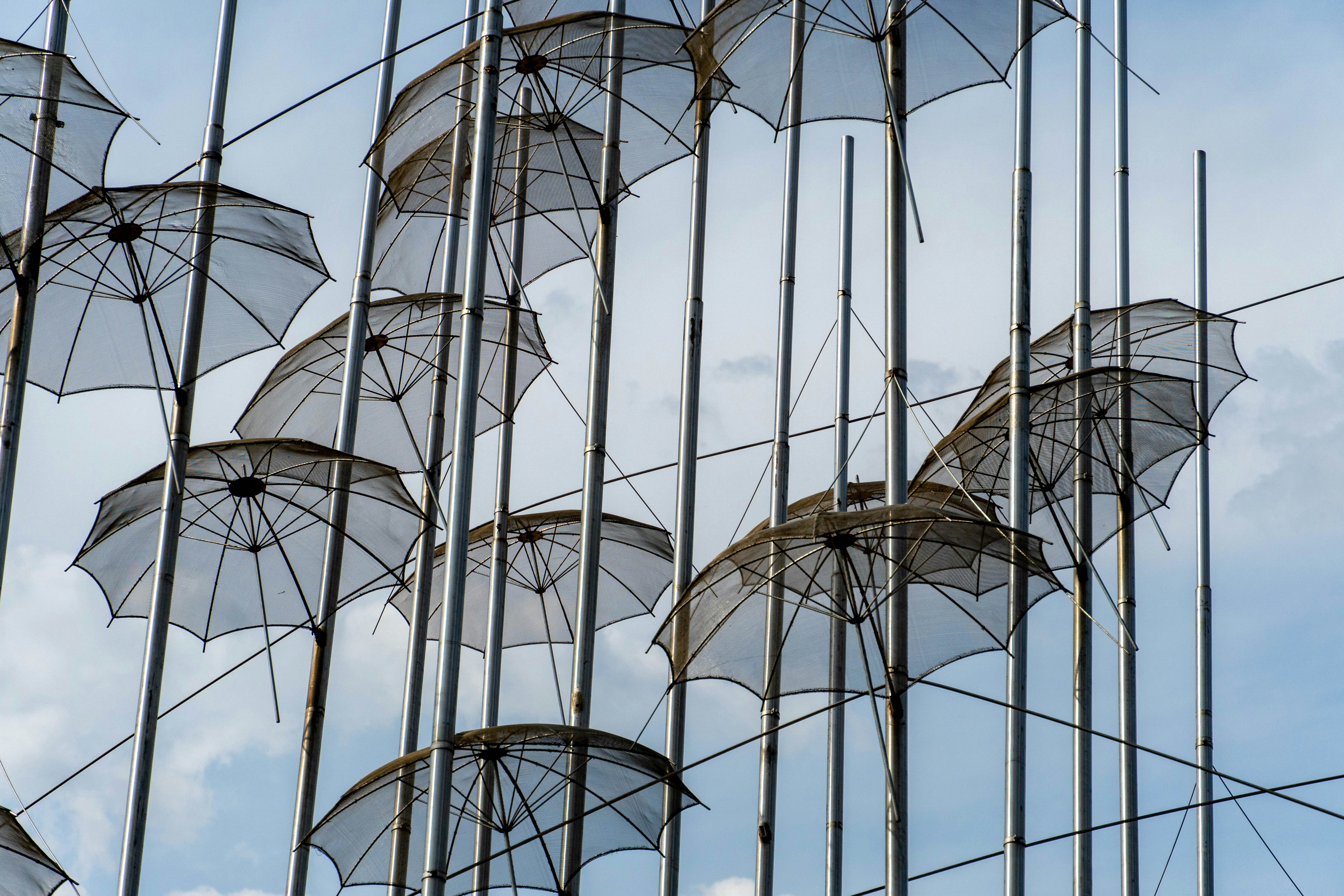 Photo by lostillusion