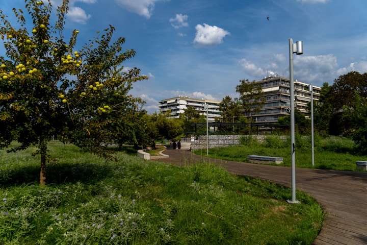 Adelphi University