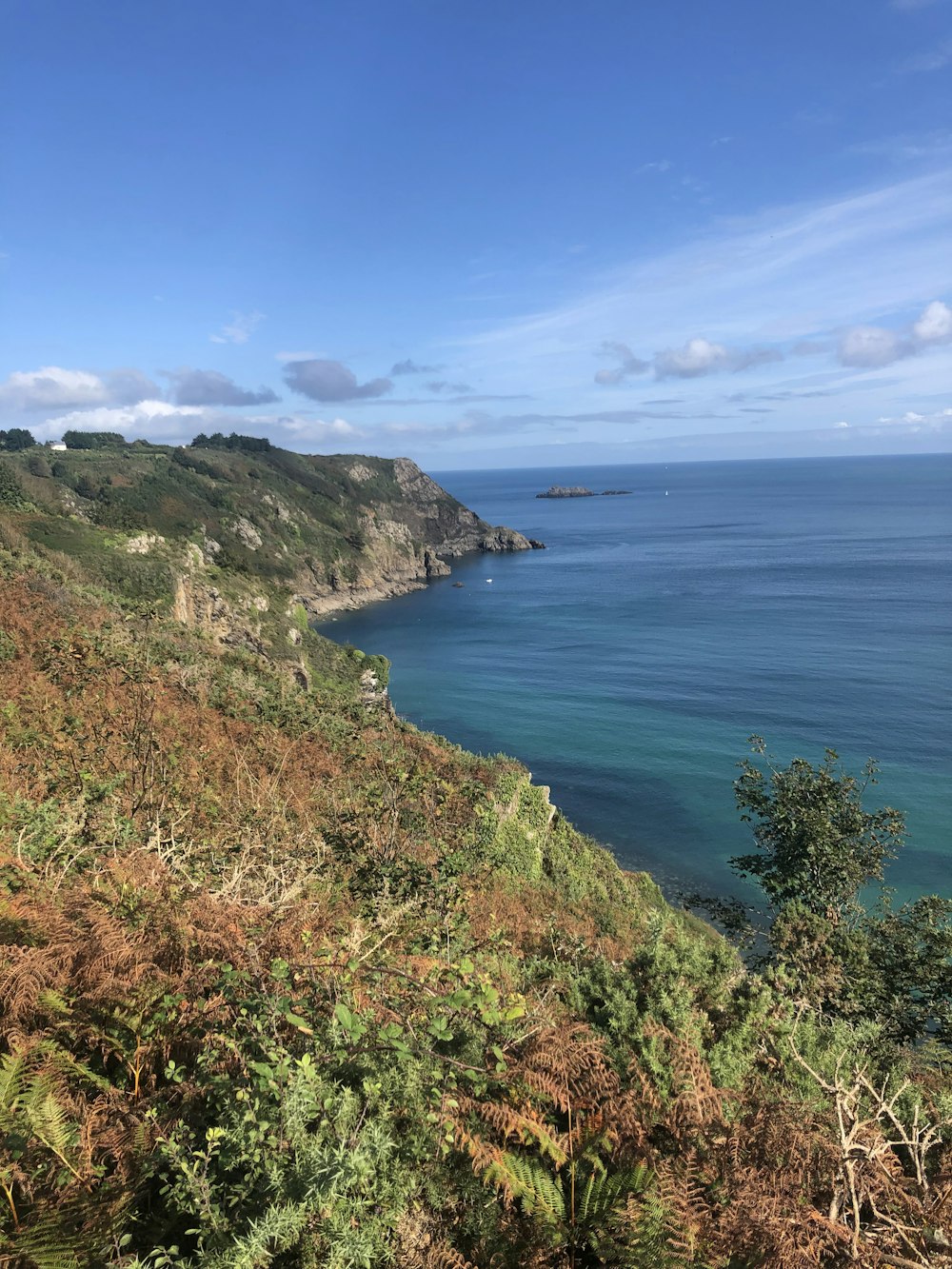 a scenic view of the ocean from a hill