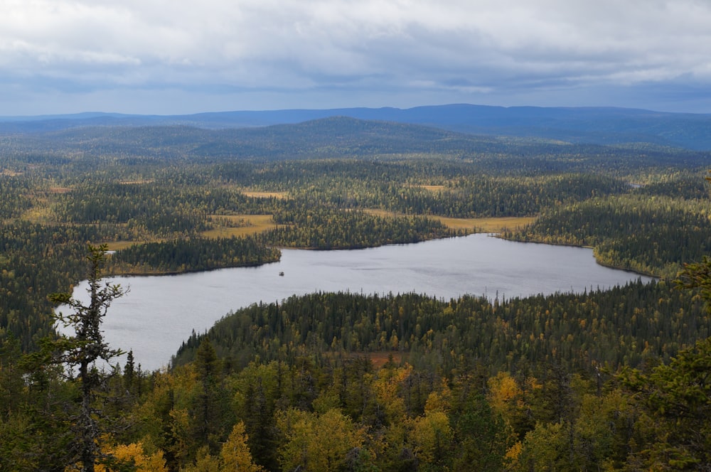 a lake surrounded by trees in the middle of a forest