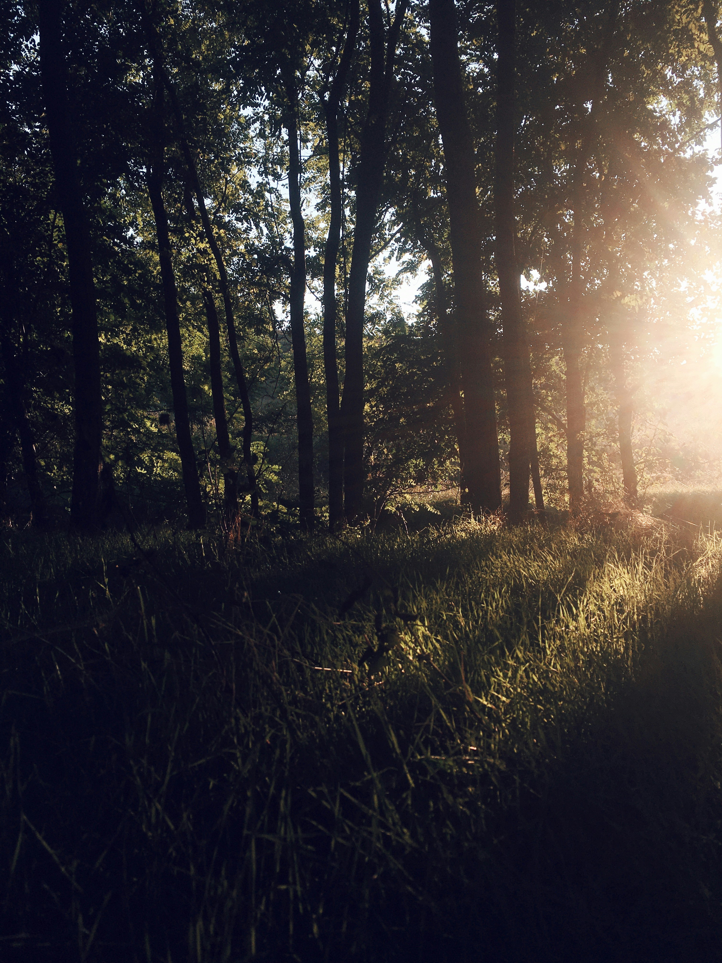 Photo by benjamindem