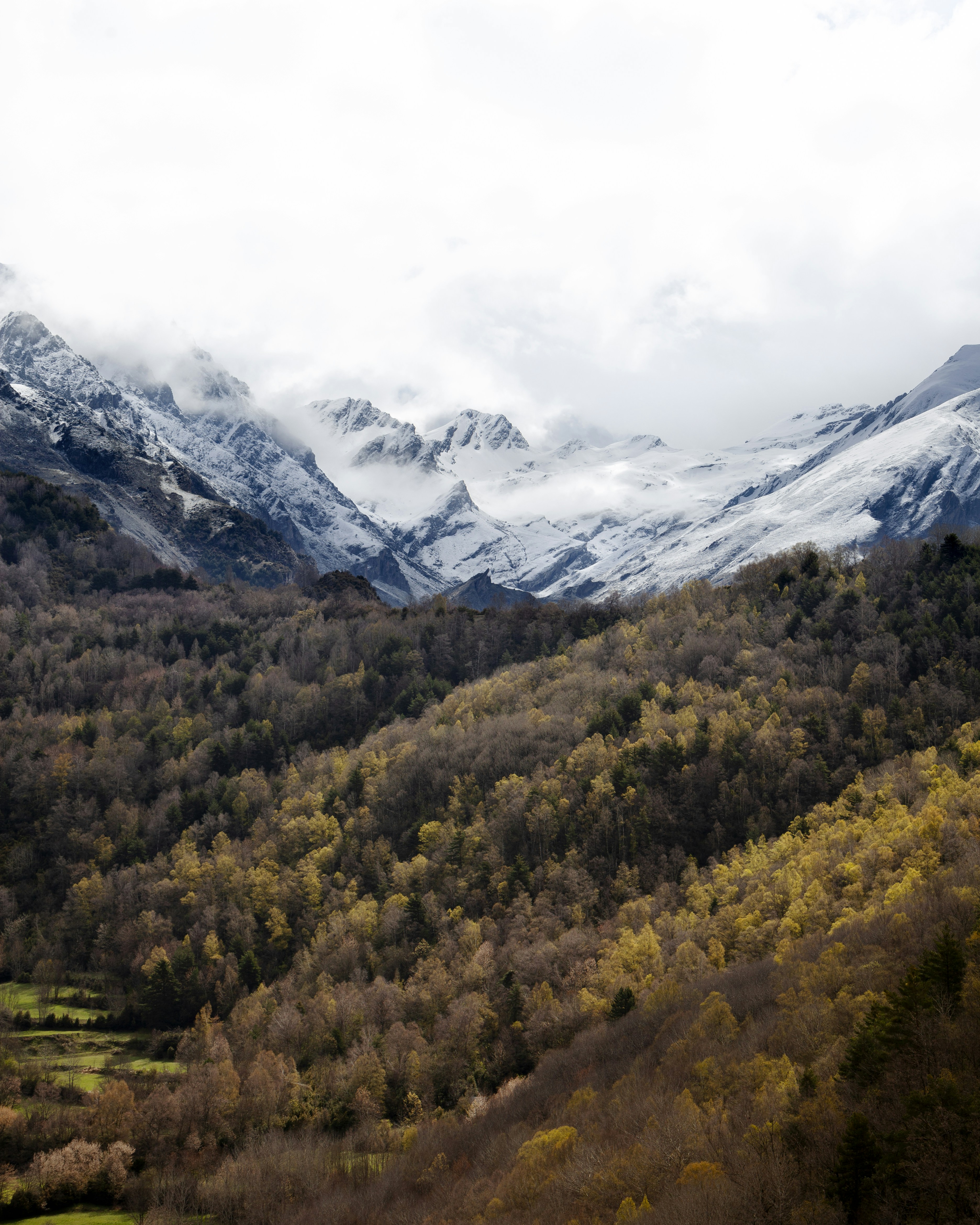 a view of a mountain range covered in snow