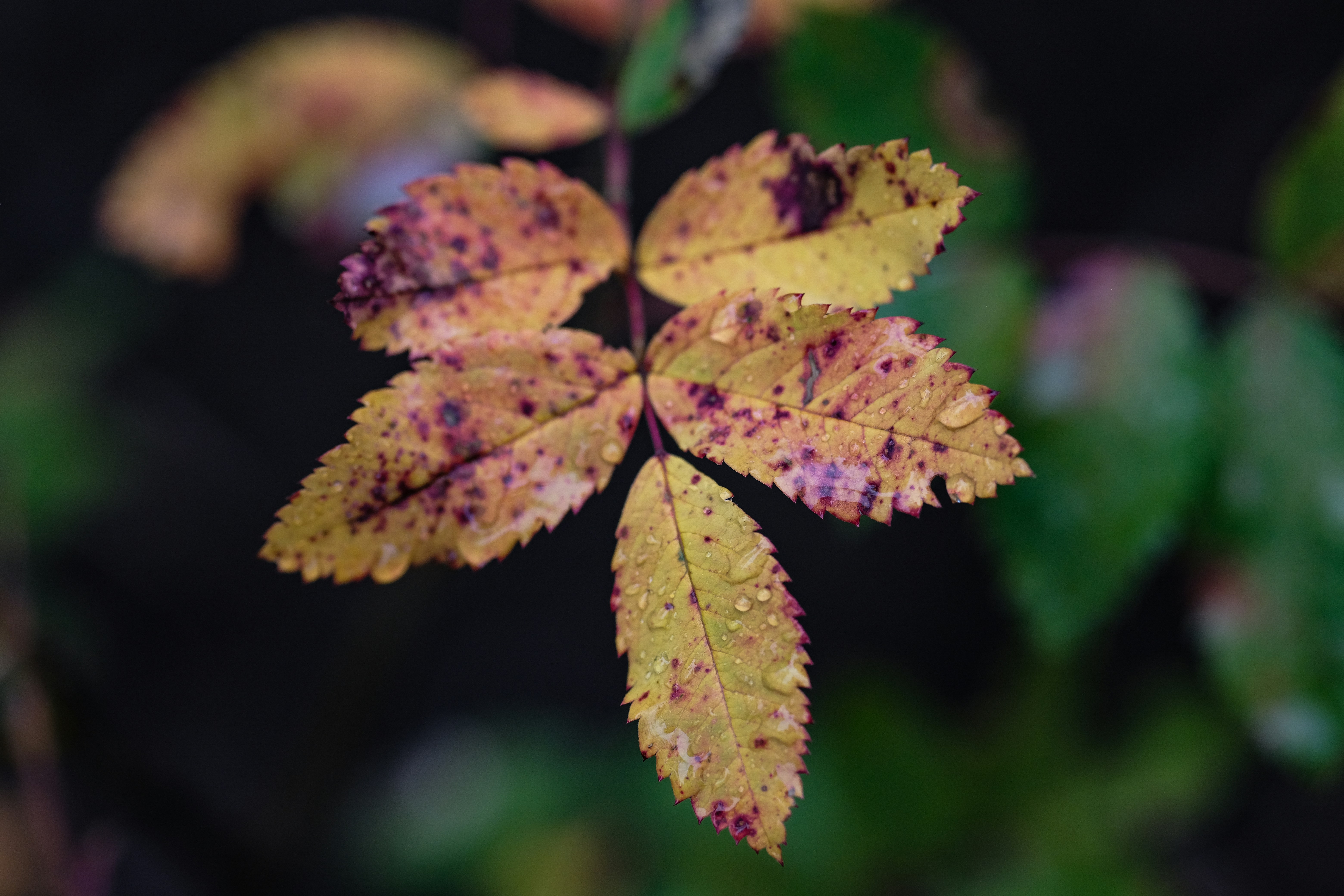 Photo by version2beta