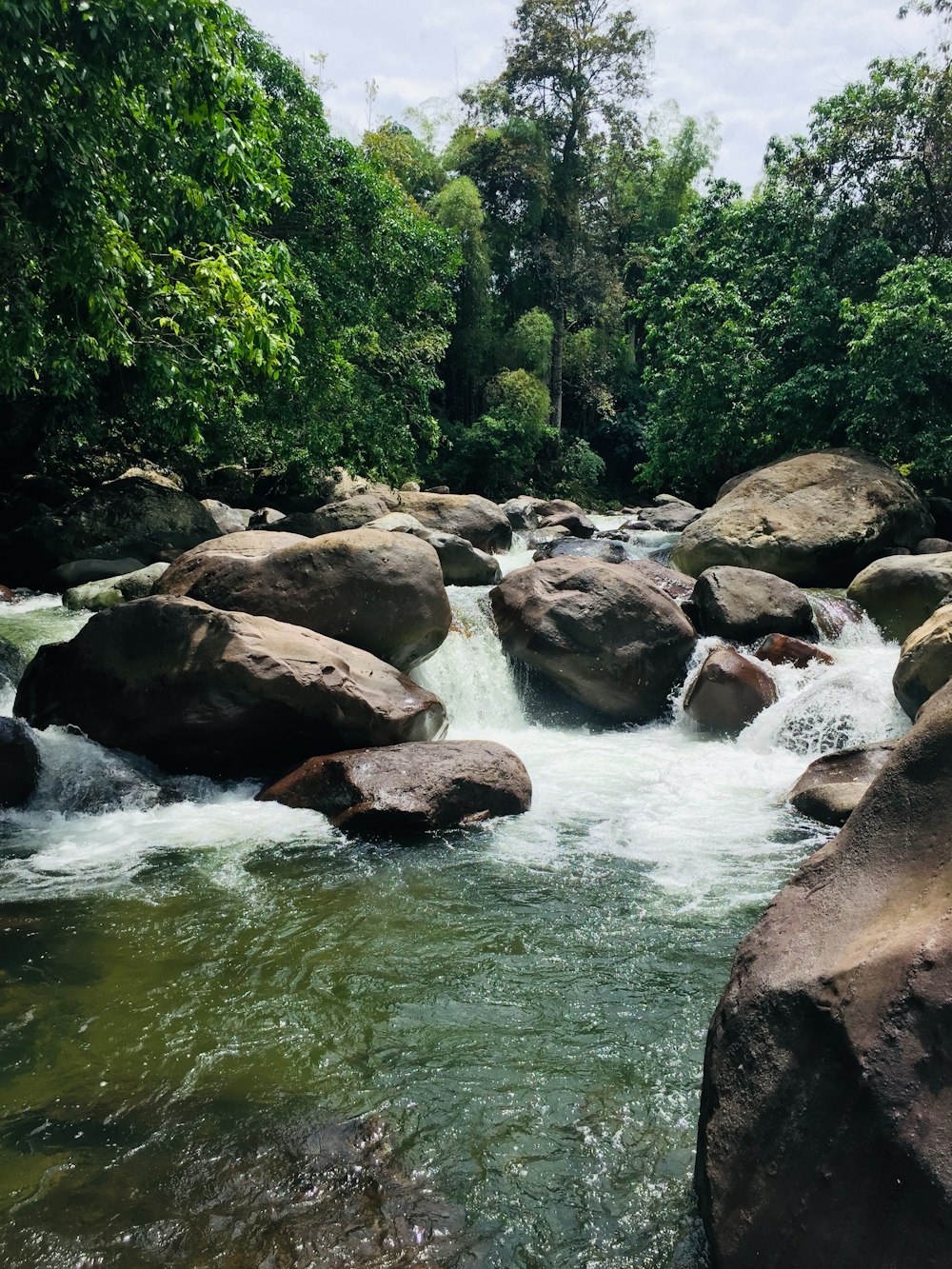 a stream of water surrounded by large rocks