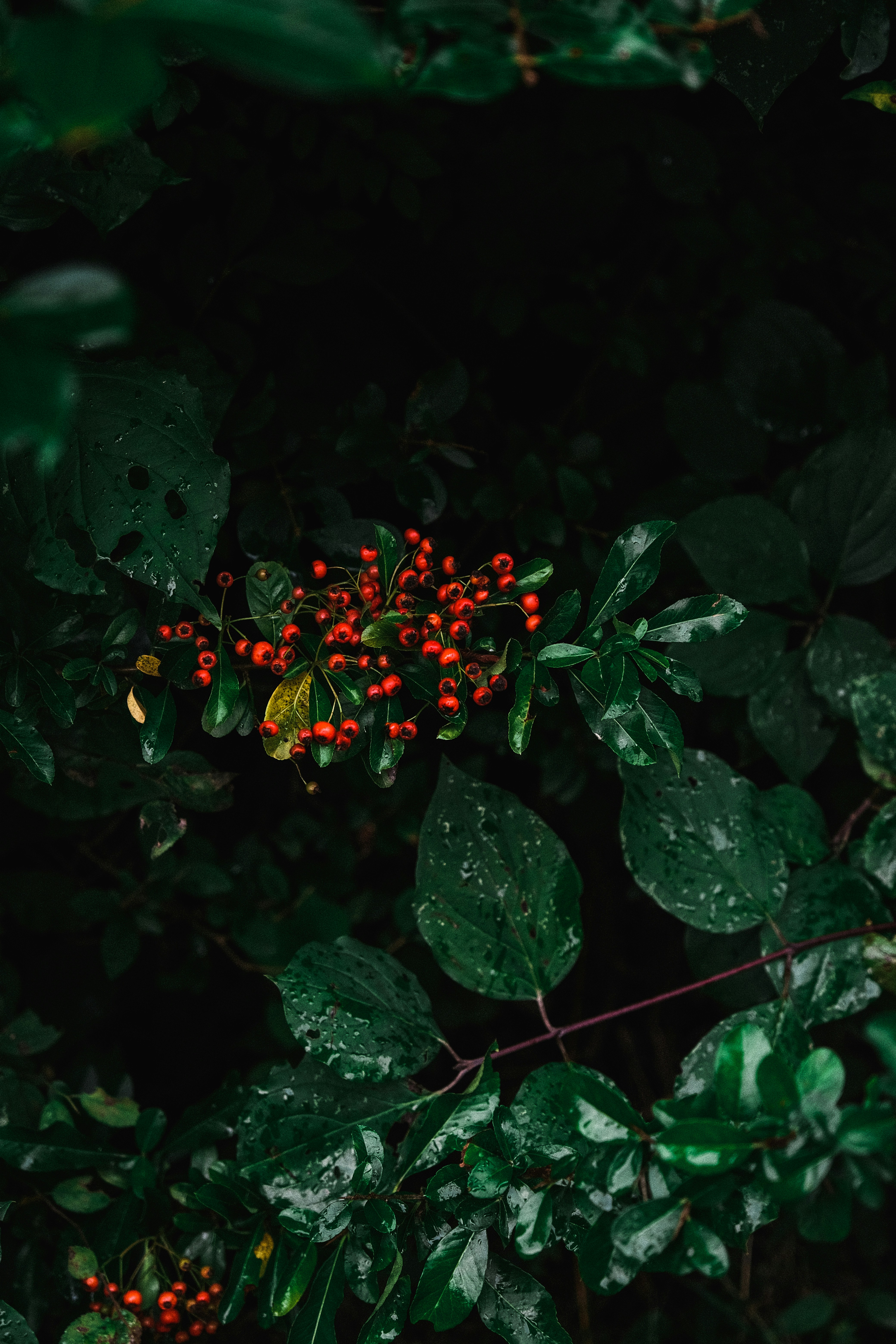 Photo by matreding