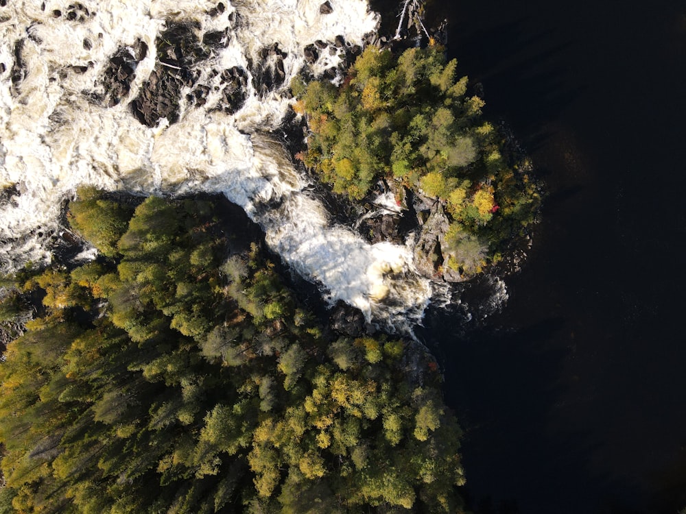 an aerial view of a body of water surrounded by trees