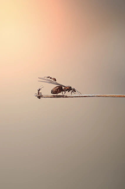 a group of mosquitoes on a stick in the air