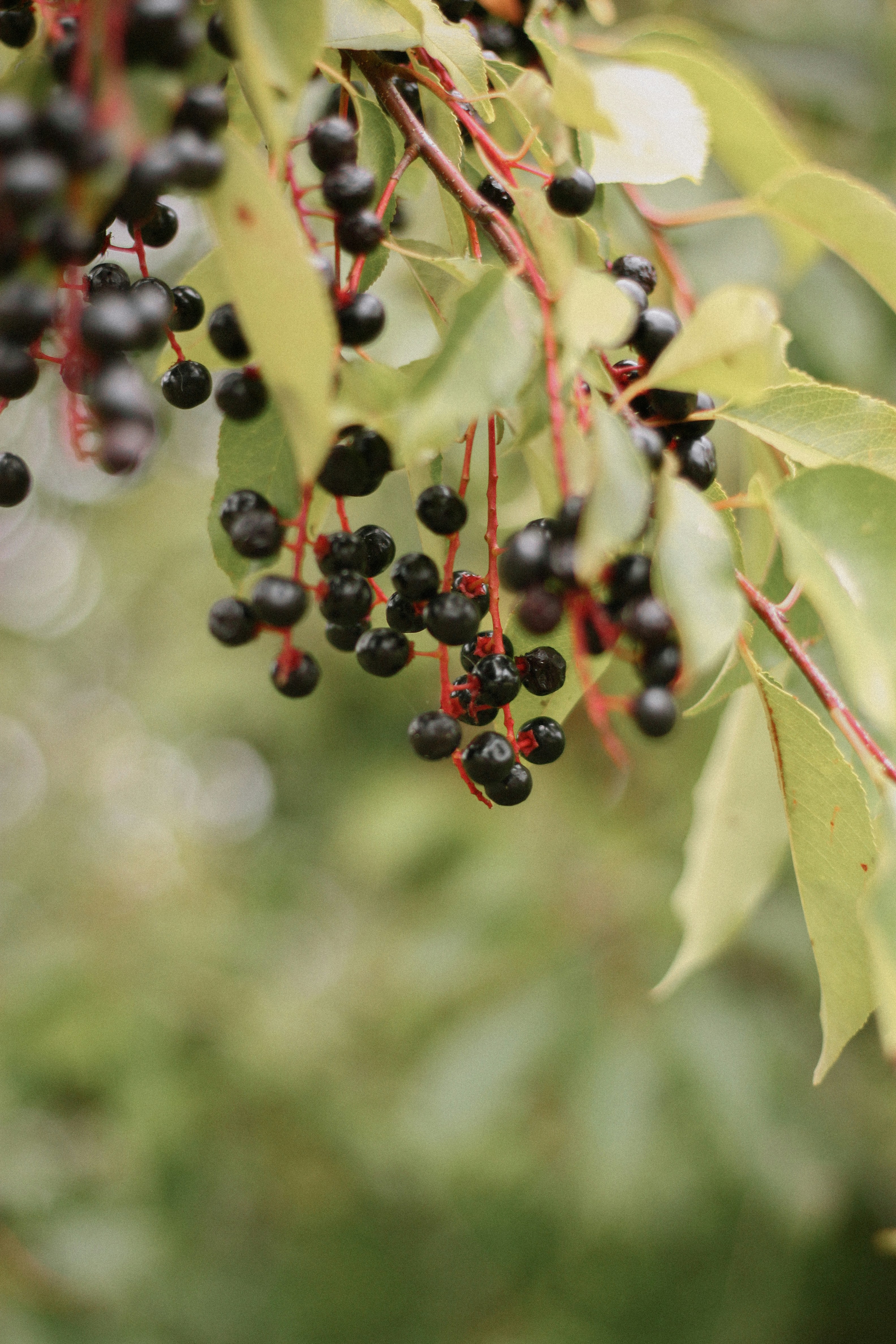 Photo by filipchenko