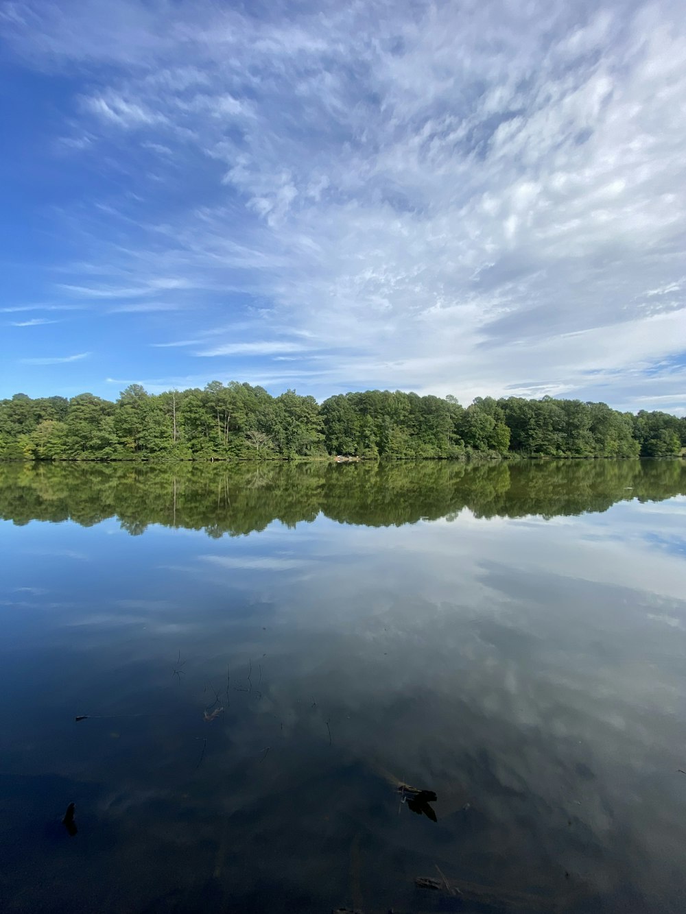 a body of water with trees in the background