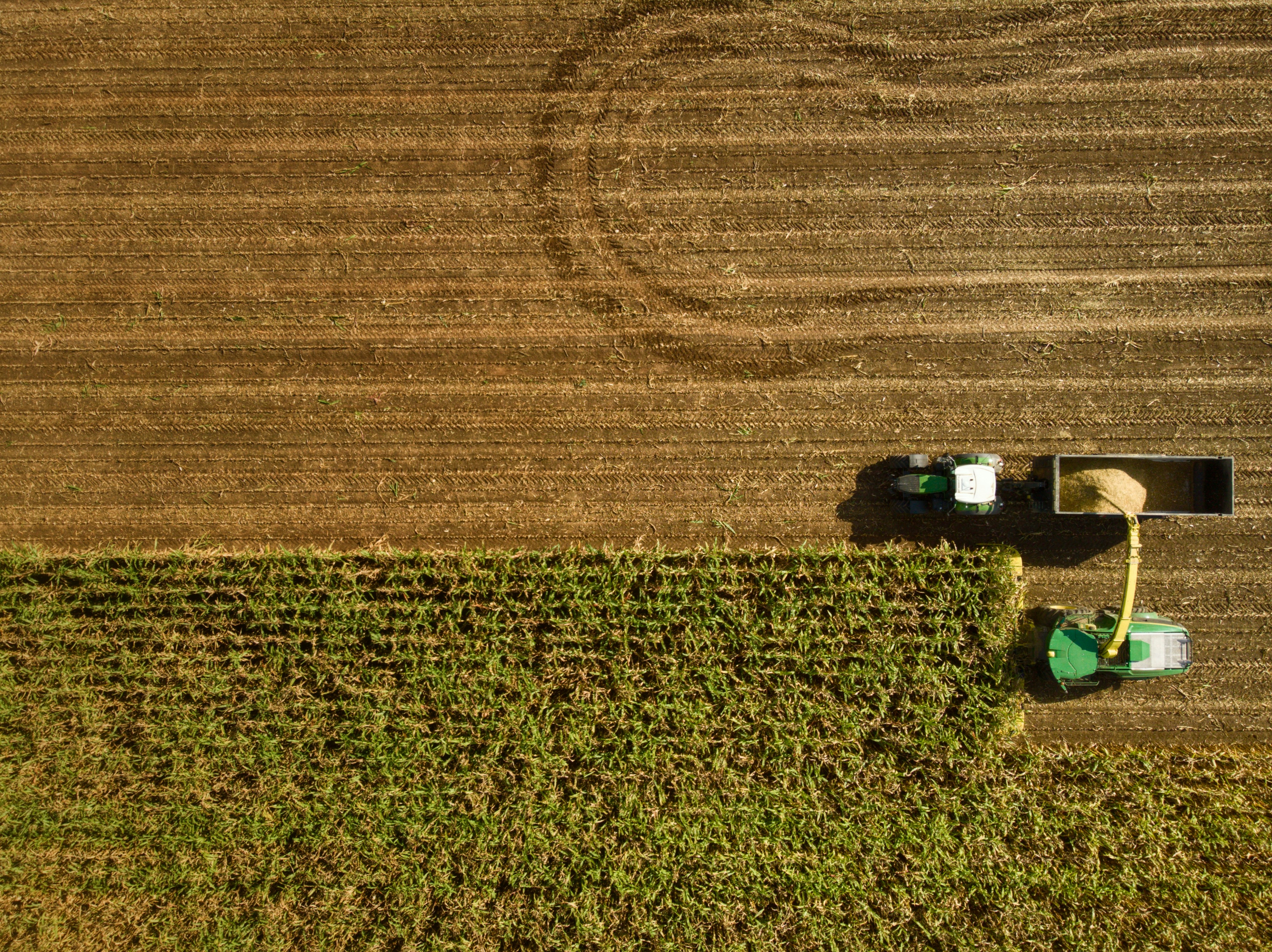 Beneath Our Feet: How America's Farmers Are Turning Degraded Soil Into a Climate Ally