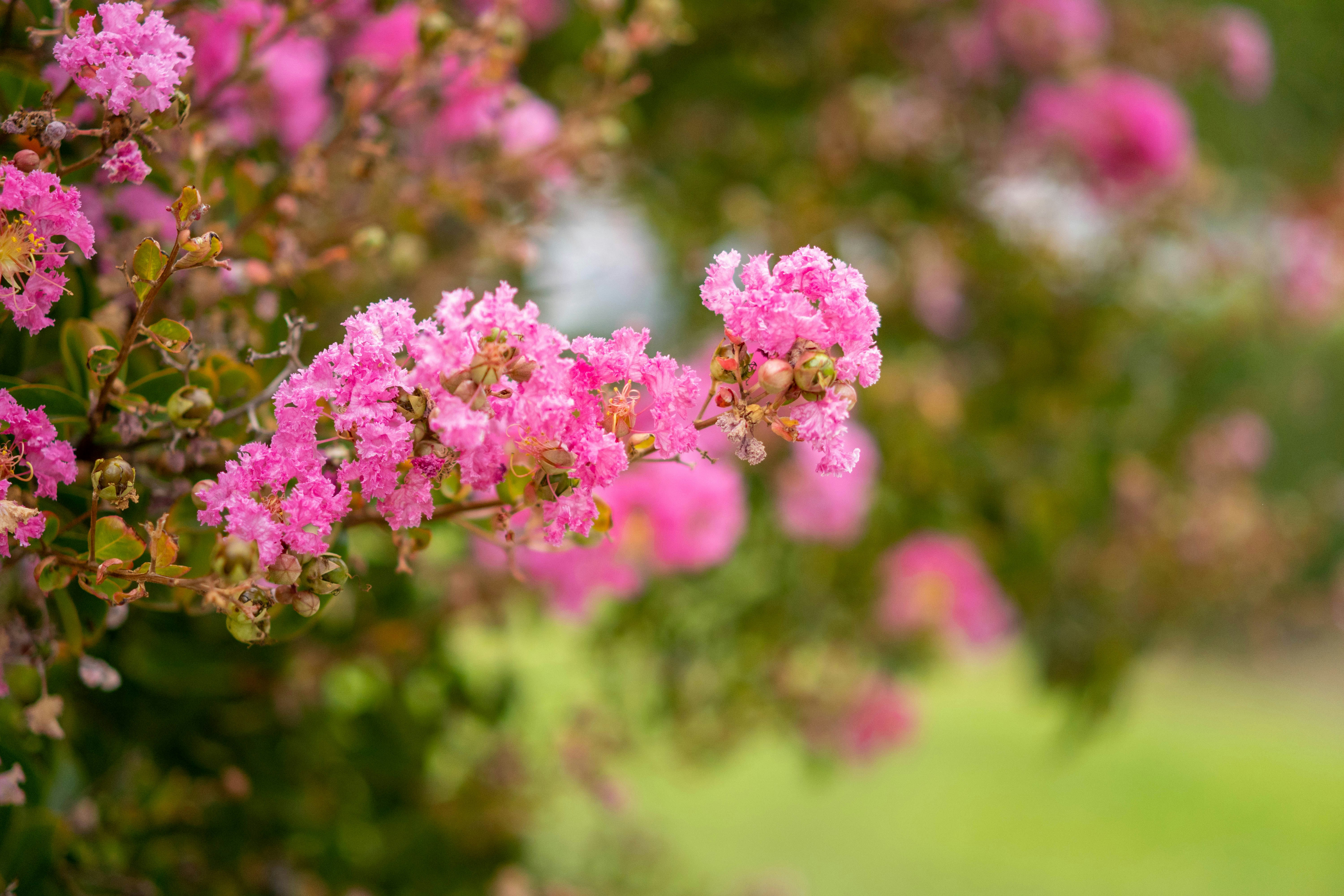 Photo by lostillusion