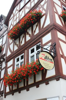 A traditional half-timbered building features ornate wooden designs and several flower boxes filled with vibrant red flowers. The building has a sign advertising glasses, contact lenses, and hearing acoustics, adding a quaint commercial aspect to the otherwise residential appearance.