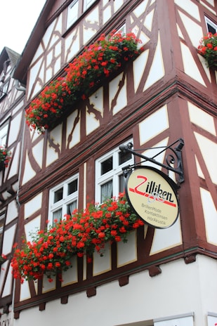 A traditional half-timbered building features ornate wooden designs and several flower boxes filled with vibrant red flowers. The building has a sign advertising glasses, contact lenses, and hearing acoustics, adding a quaint commercial aspect to the otherwise residential appearance.