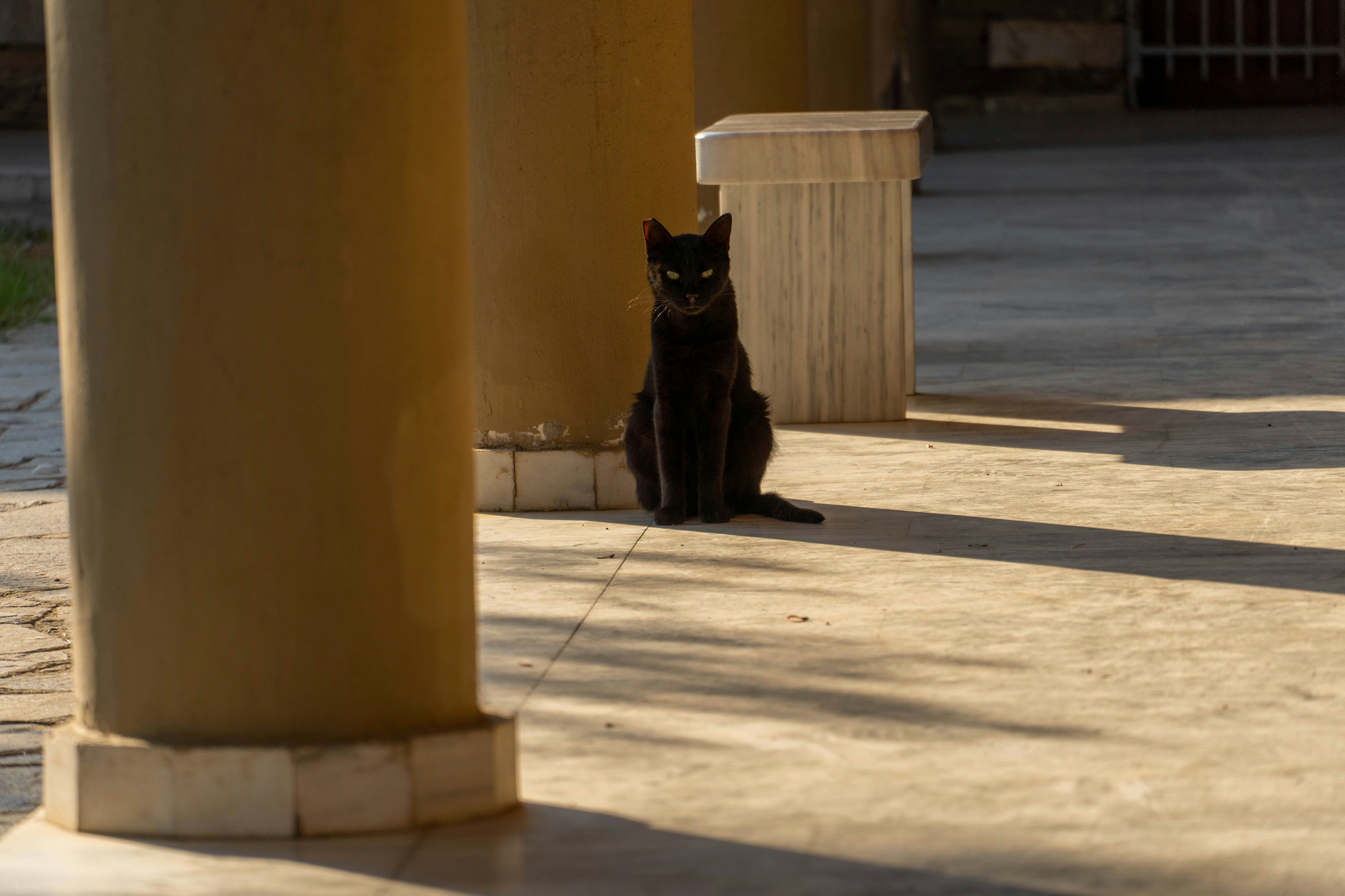 Photo by lostillusion