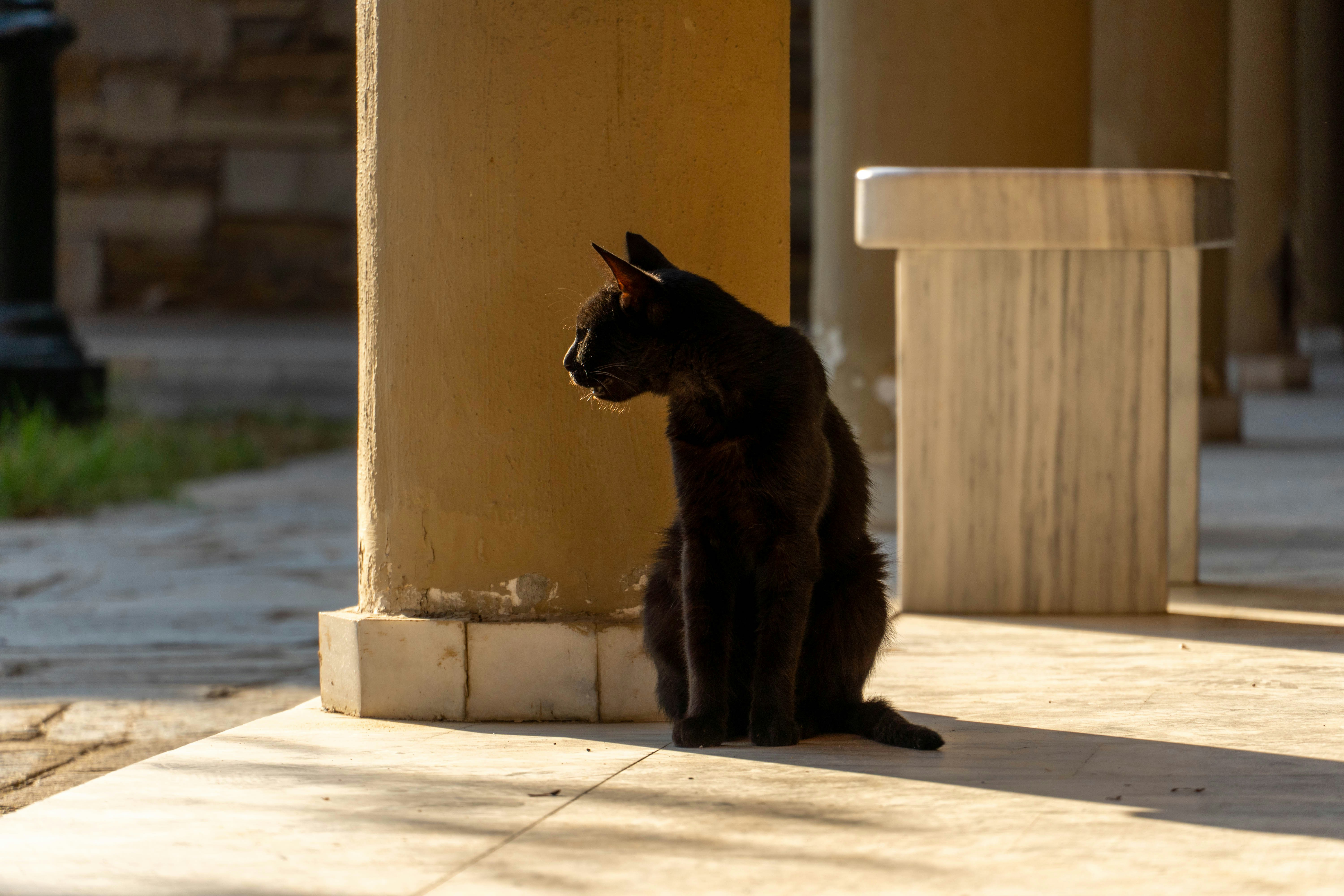 Photo by lostillusion