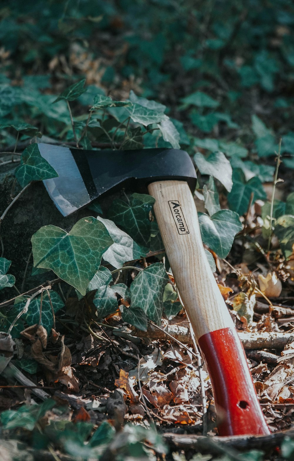 an axe is laying on the ground next to leaves