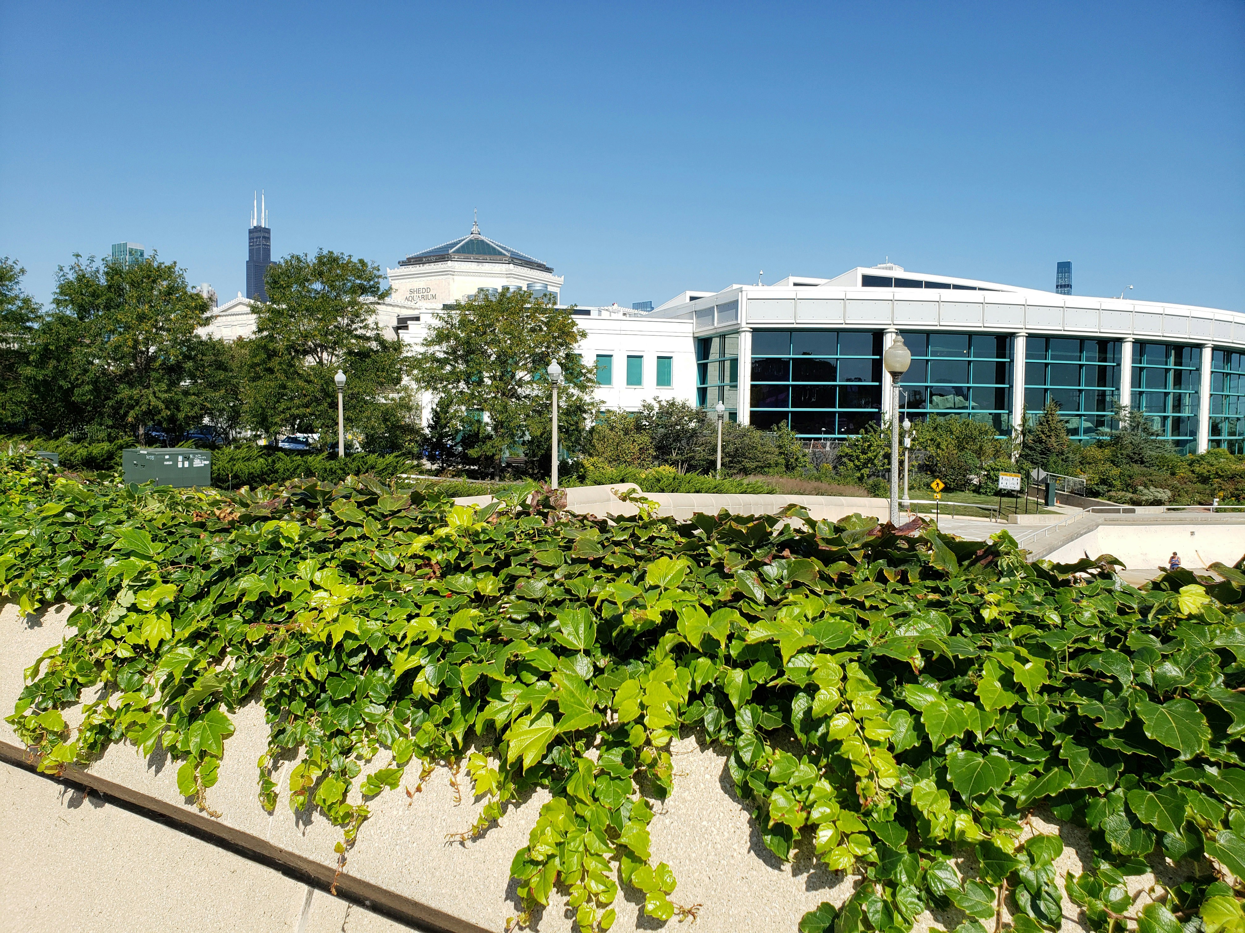Illinois College