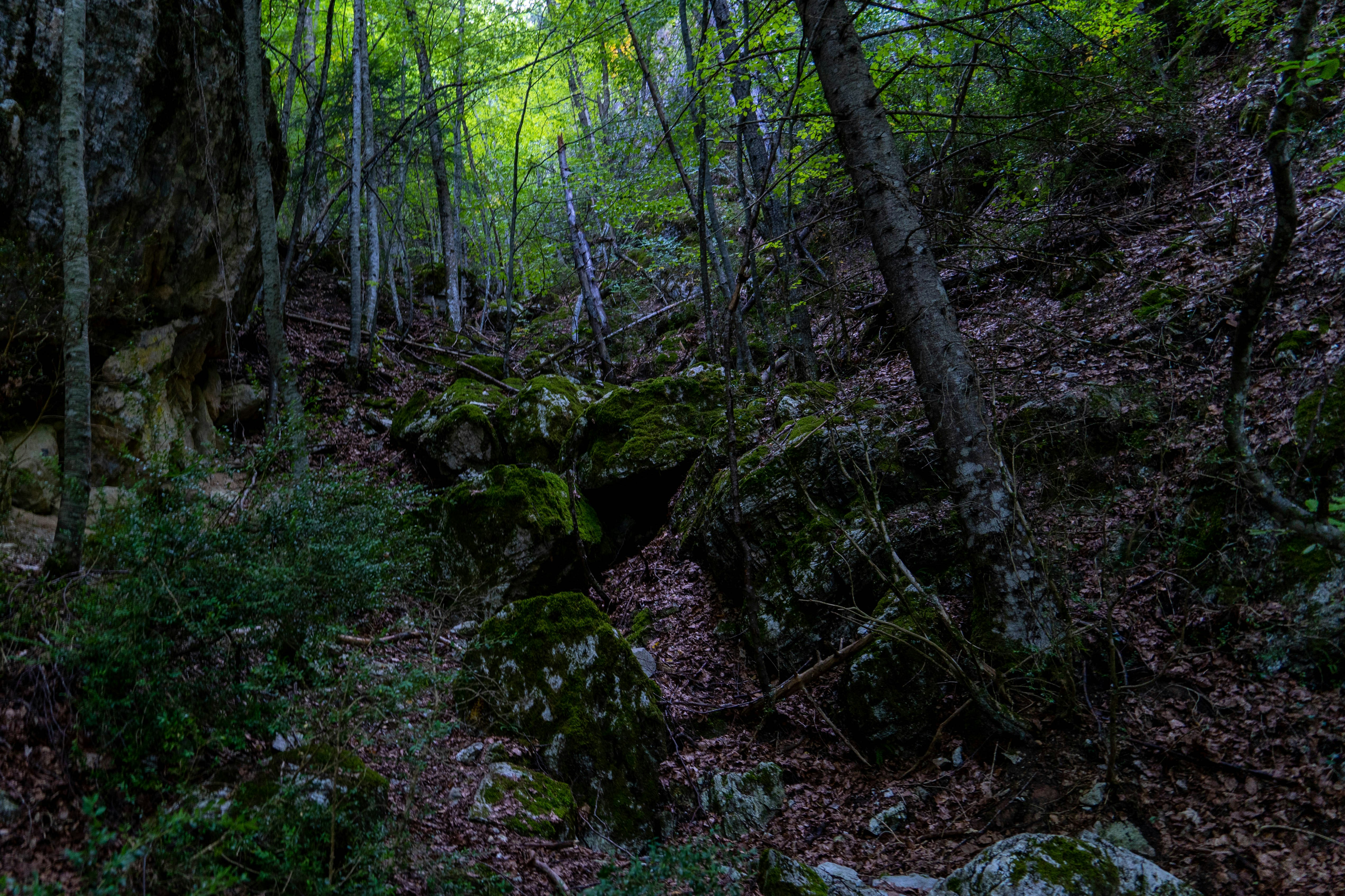 Photo by lostillusion