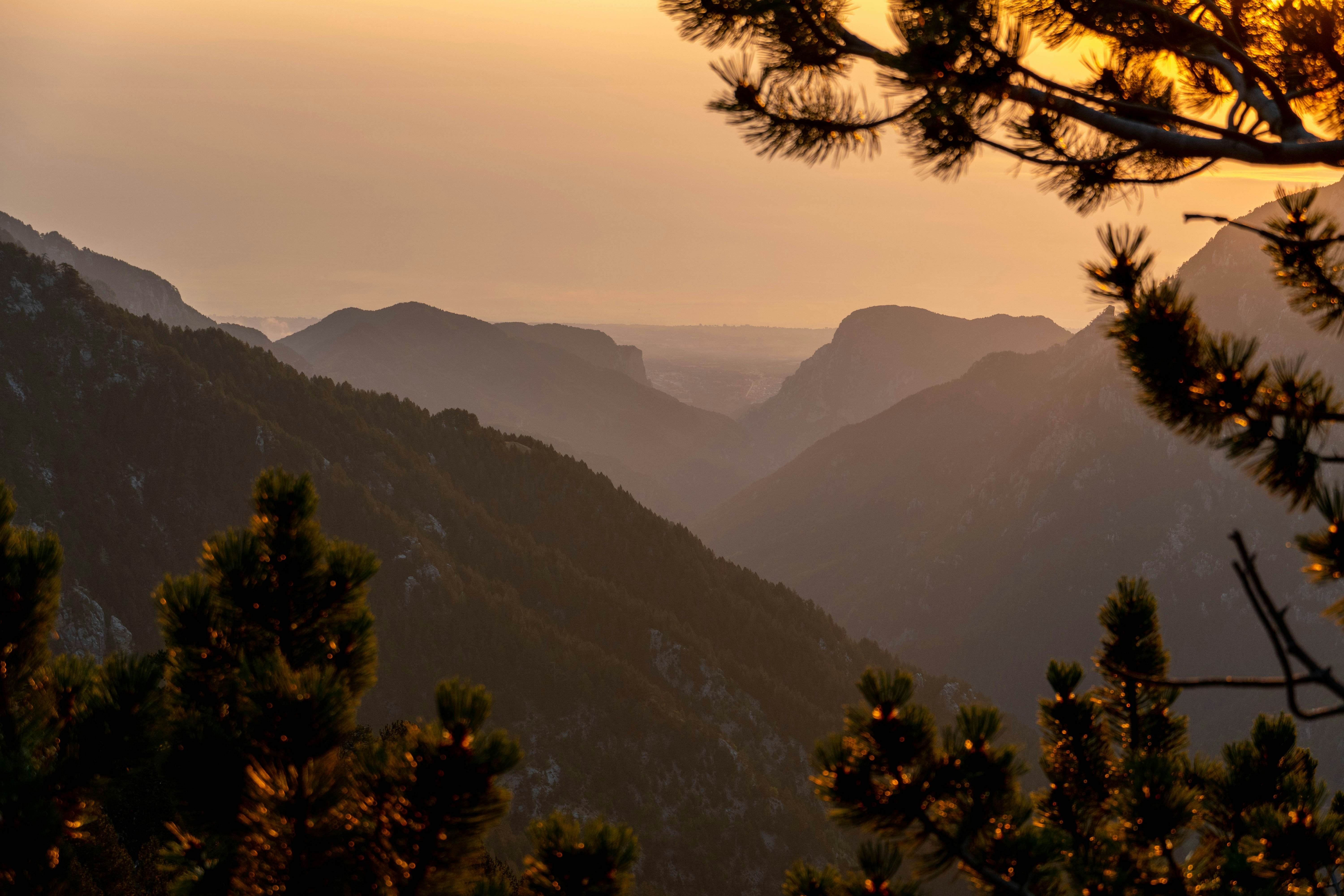 Photo by lostillusion