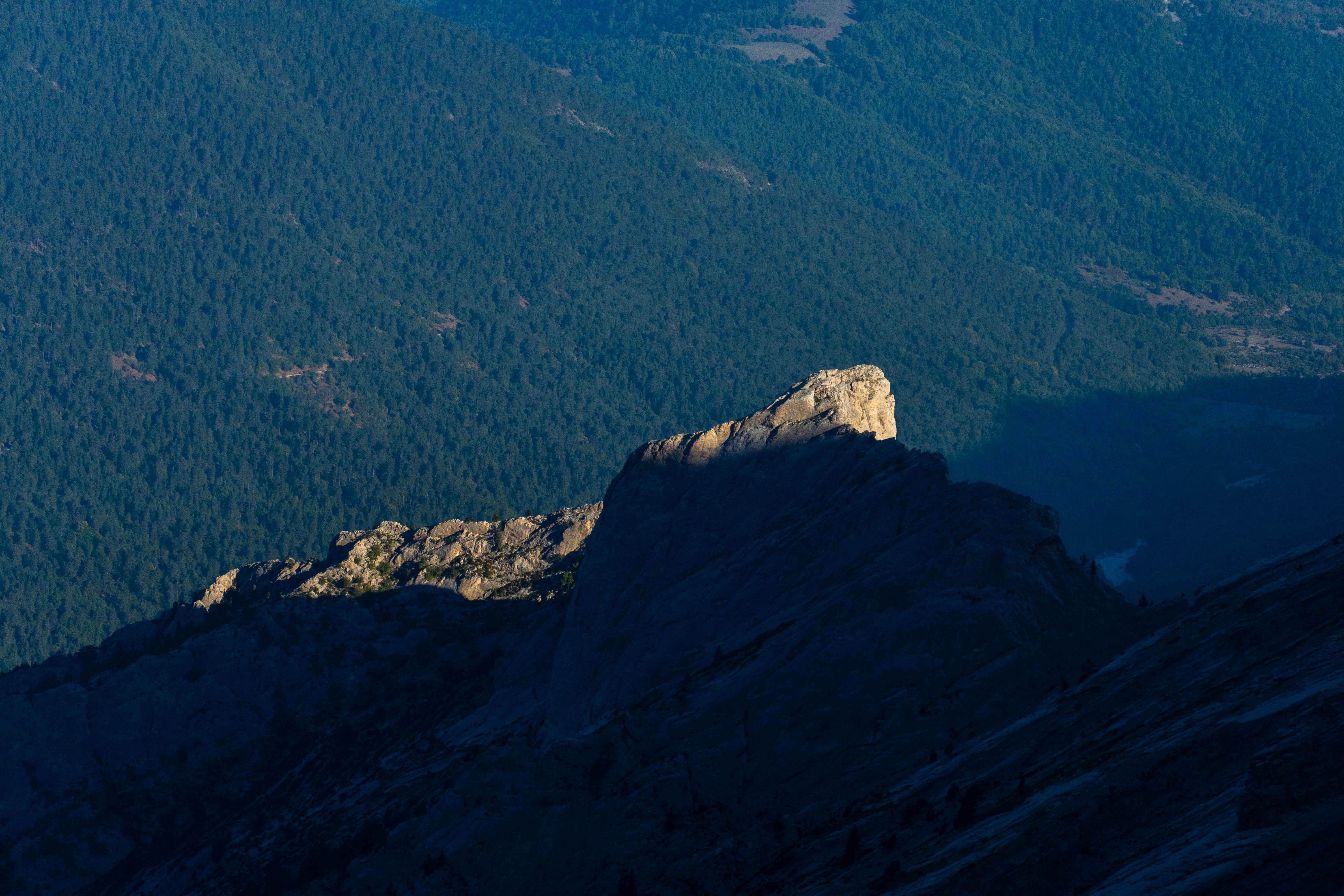 Photo by lostillusion