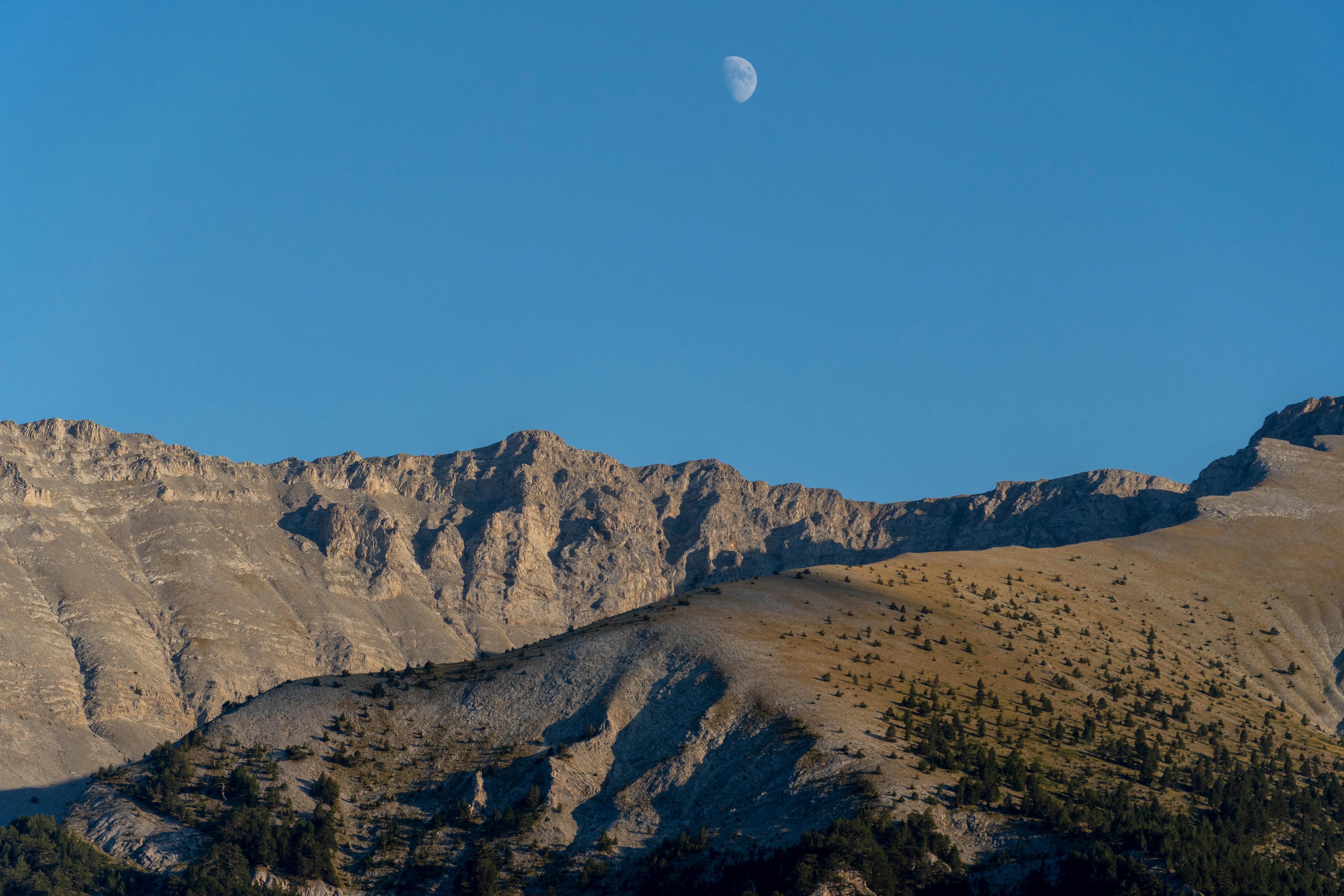 Photo by lostillusion