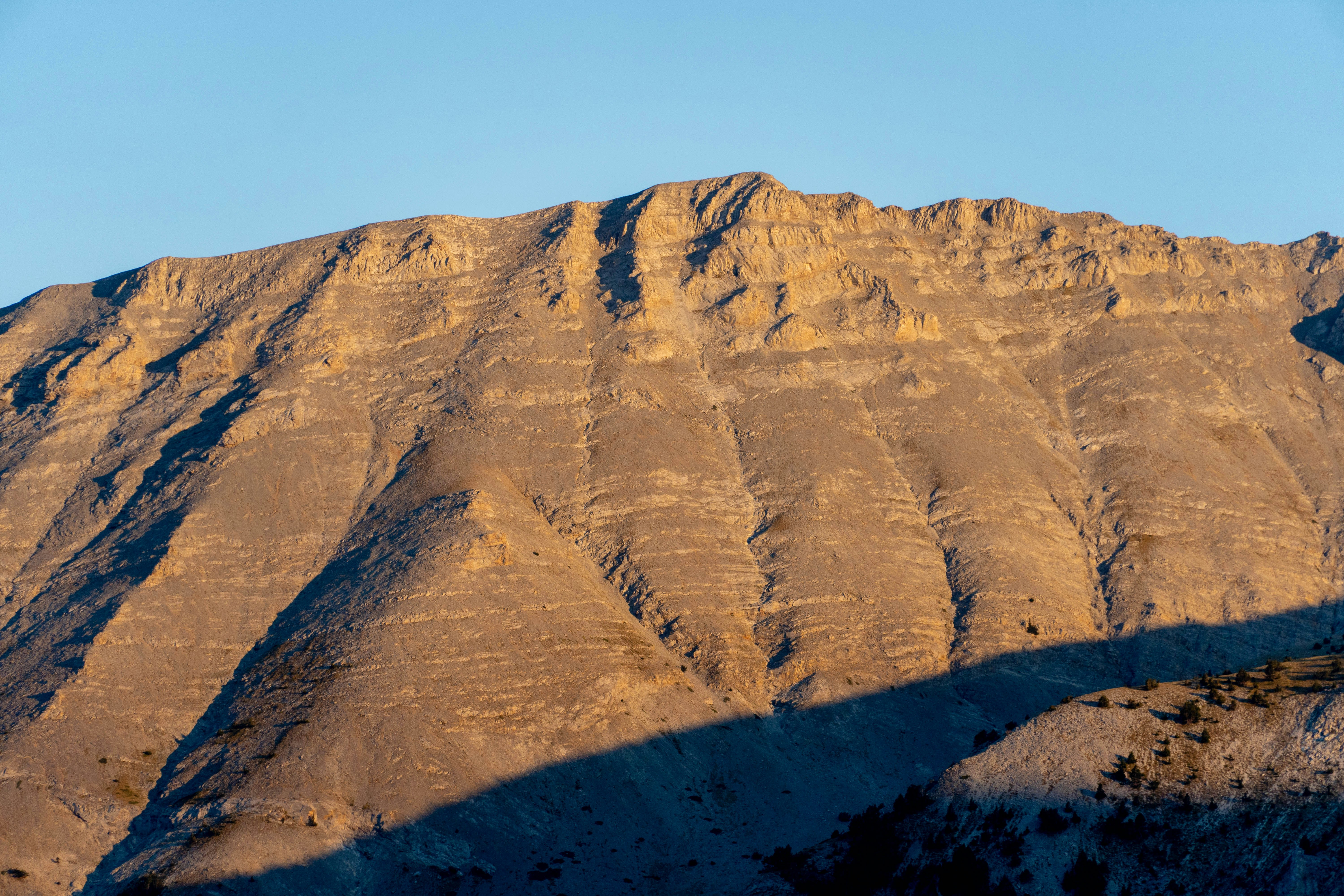 Photo by lostillusion