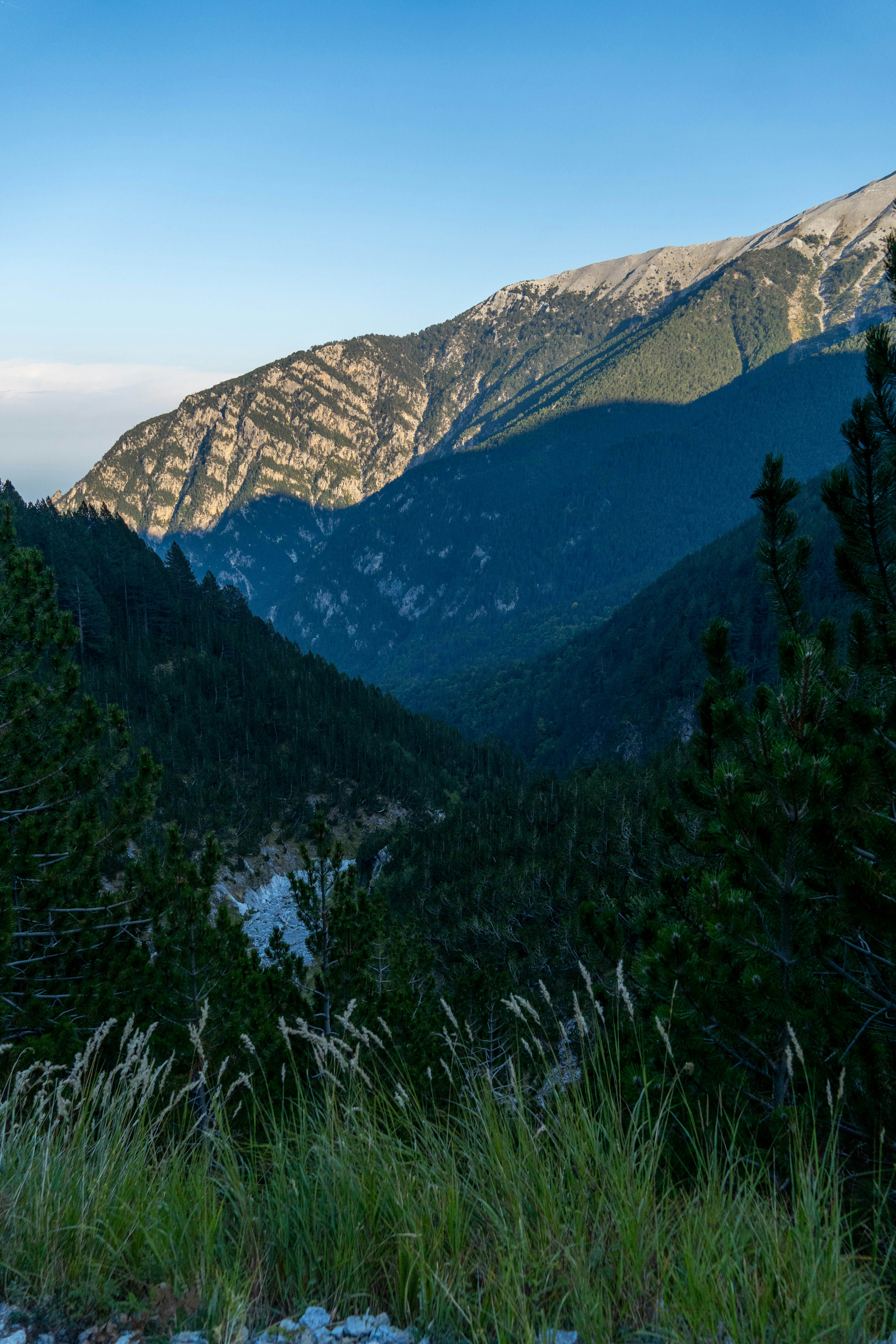 Photo by lostillusion