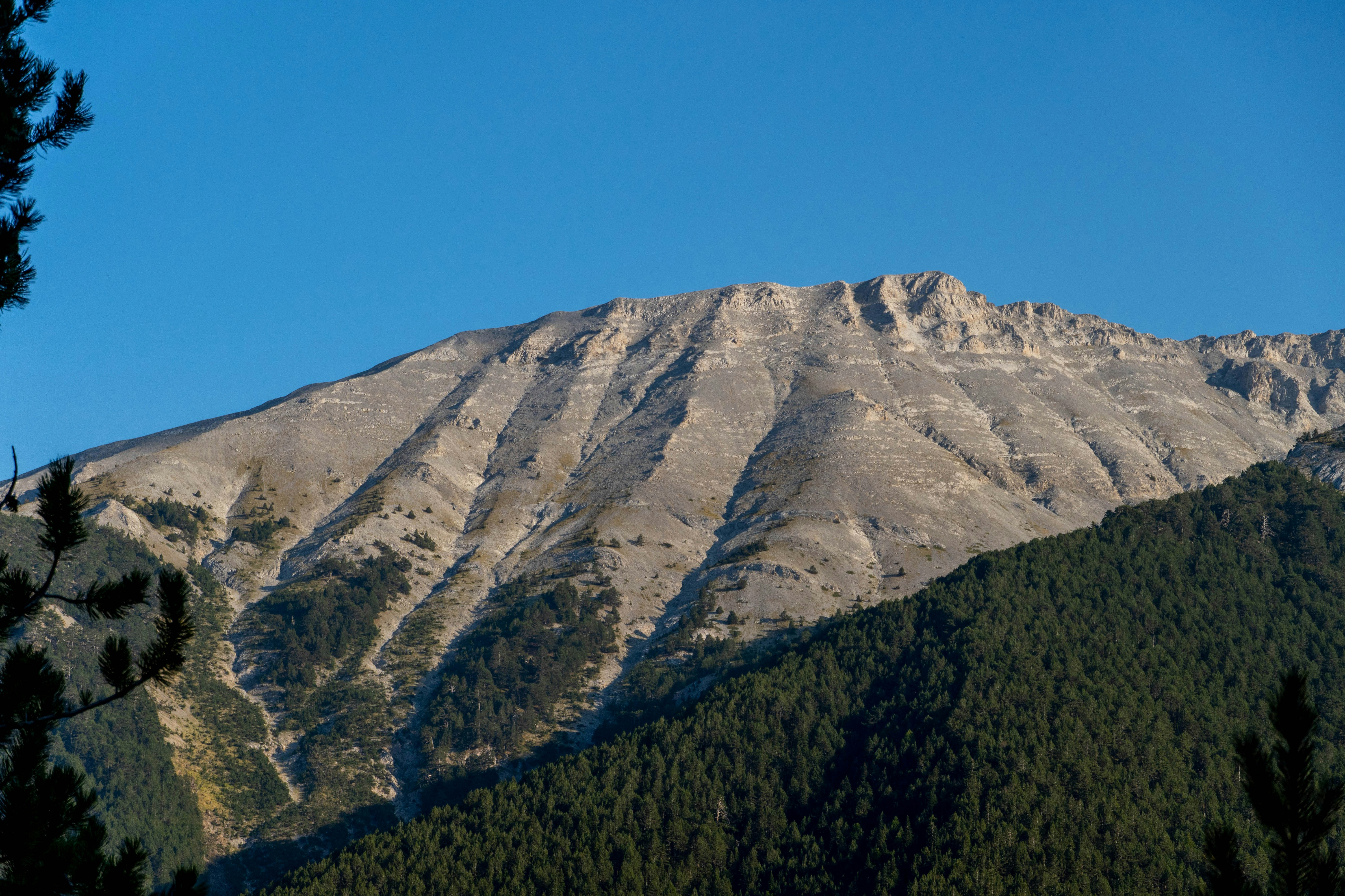 Photo by lostillusion