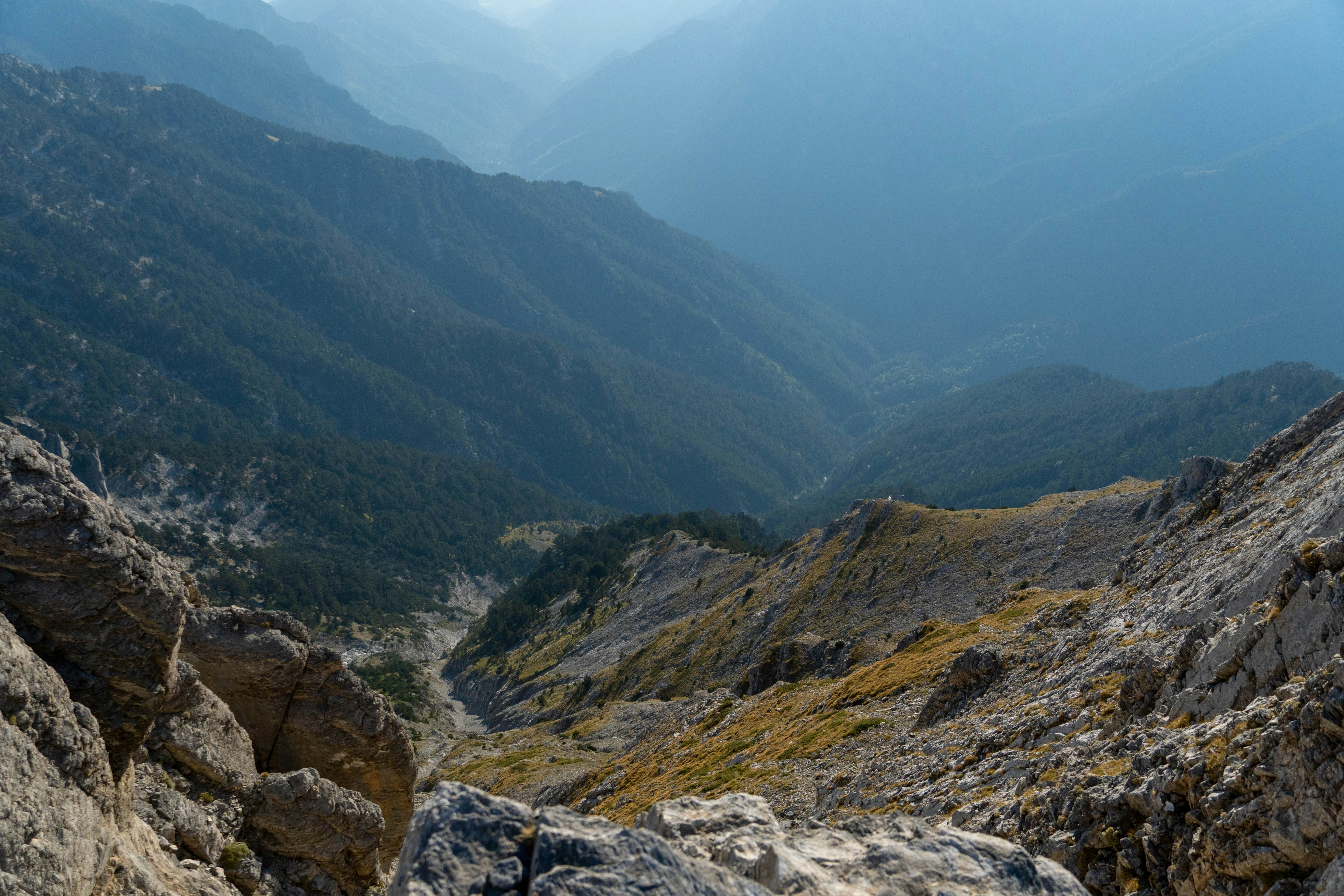 Photo by lostillusion