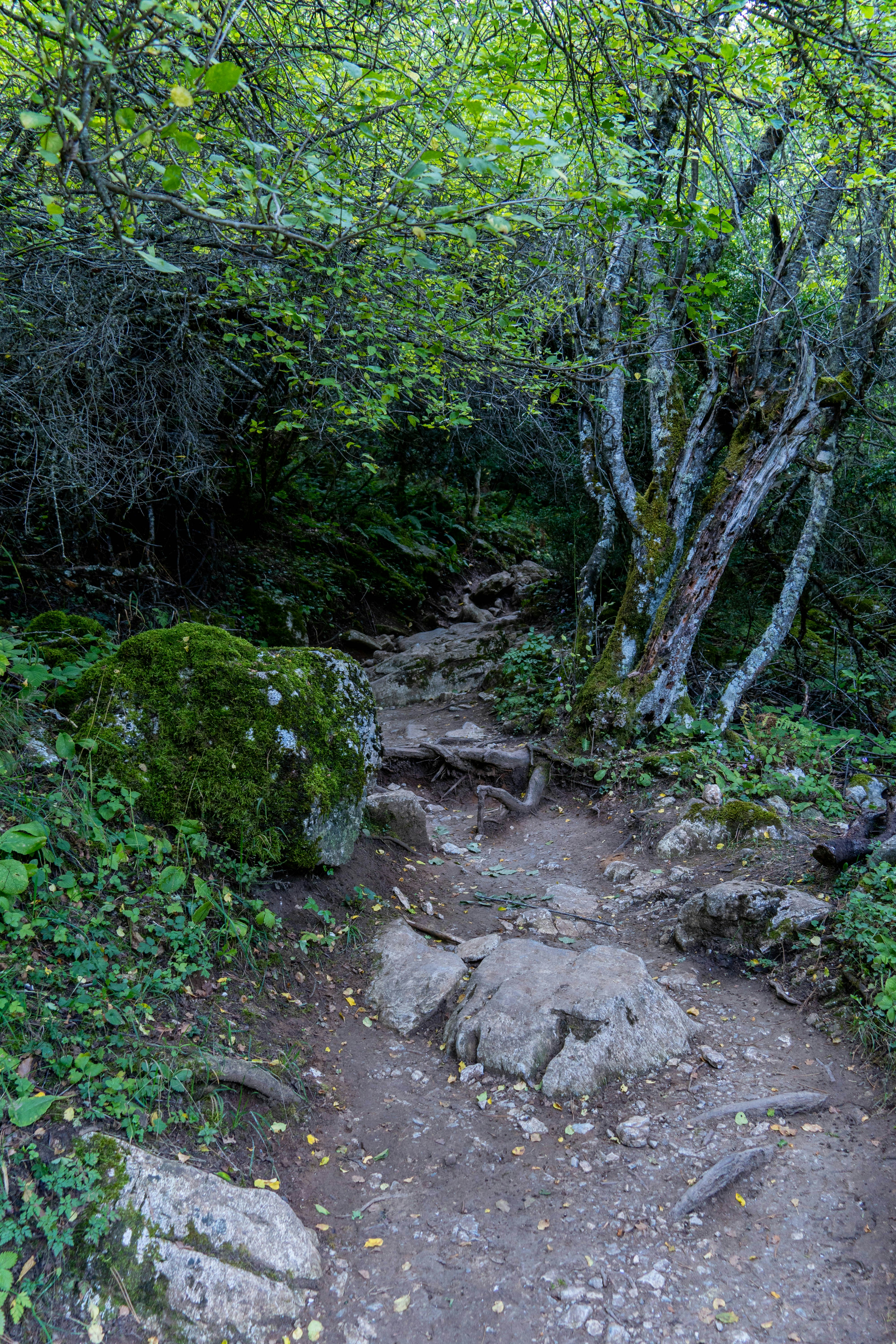 Photo by lostillusion