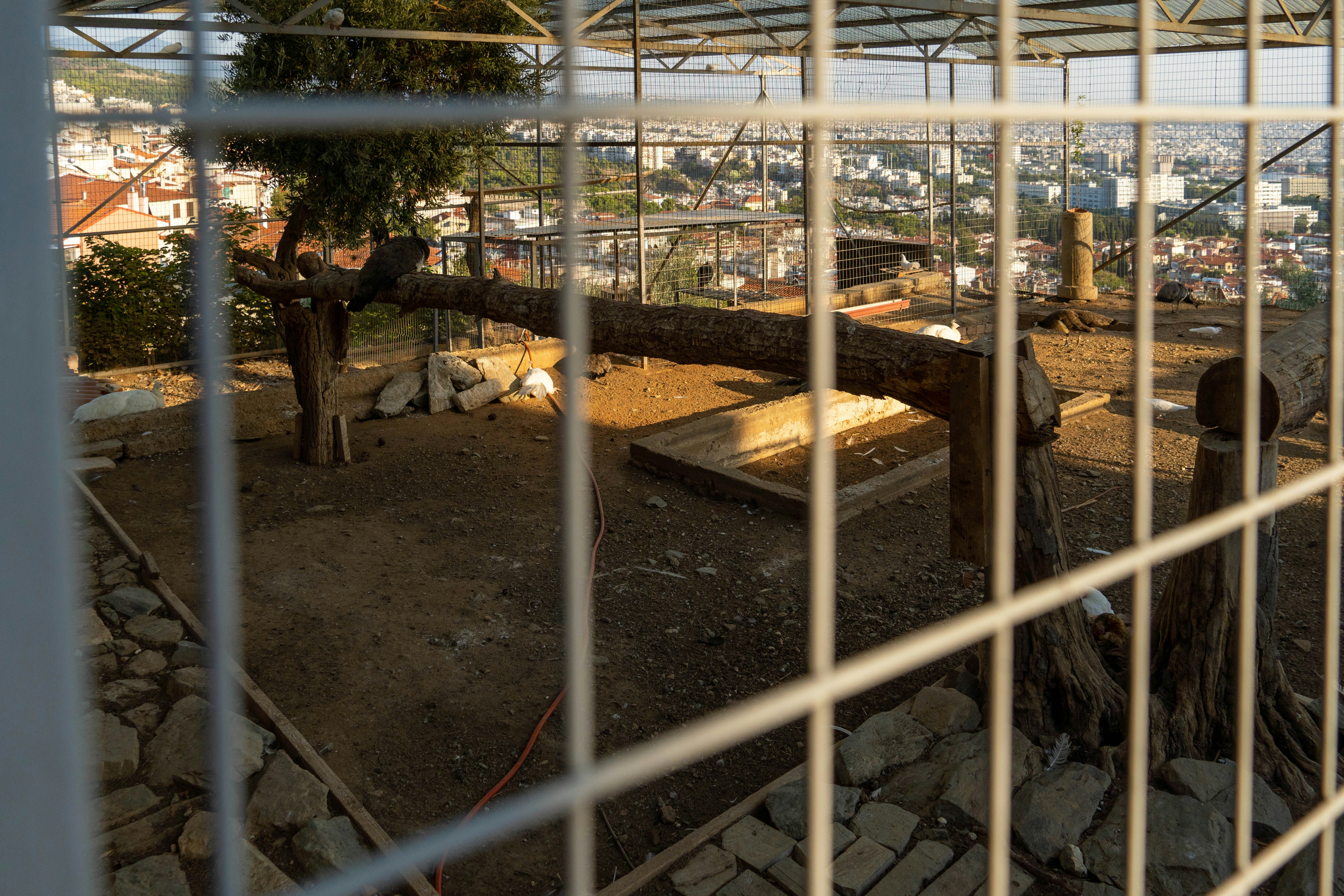 Photo by lostillusion