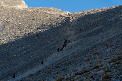 Group of trail runners helping each other climb a steep rocky incline during a race.