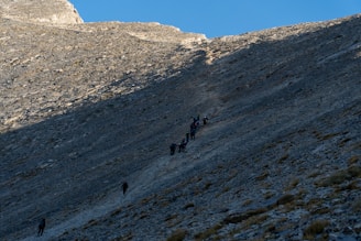 Group of trail runners helping each other climb a steep rocky incline during a race.
