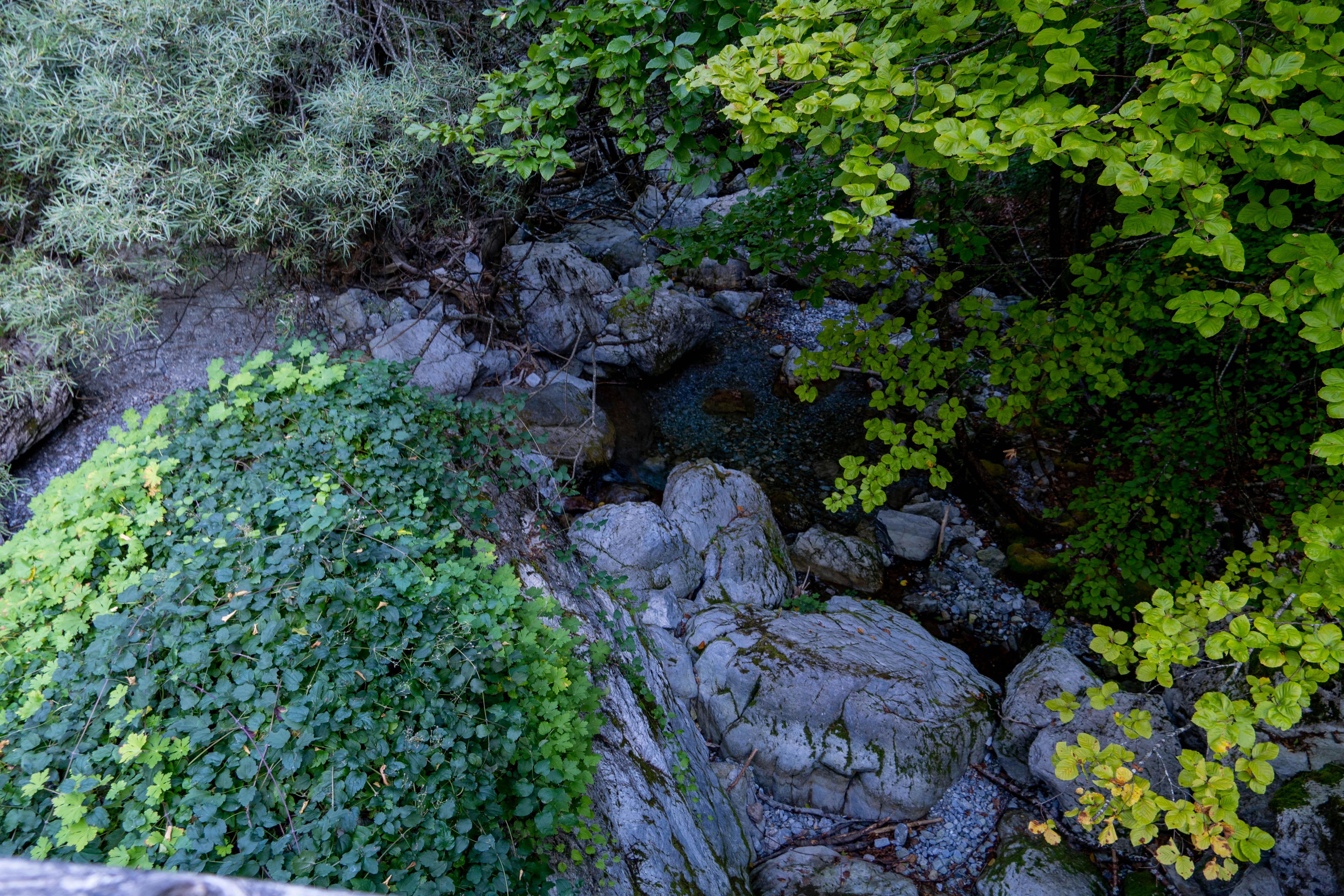 Photo by lostillusion