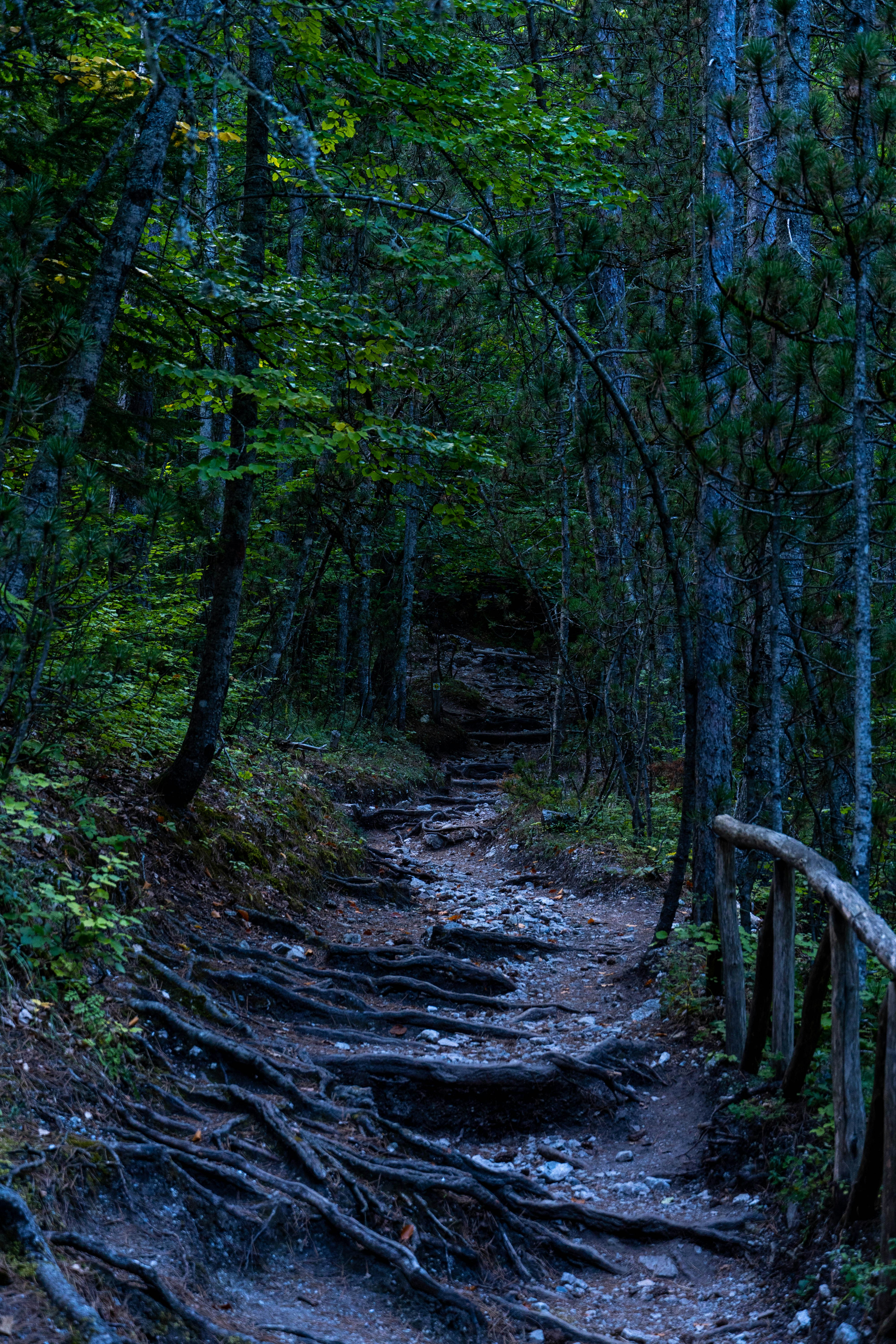 Photo by lostillusion