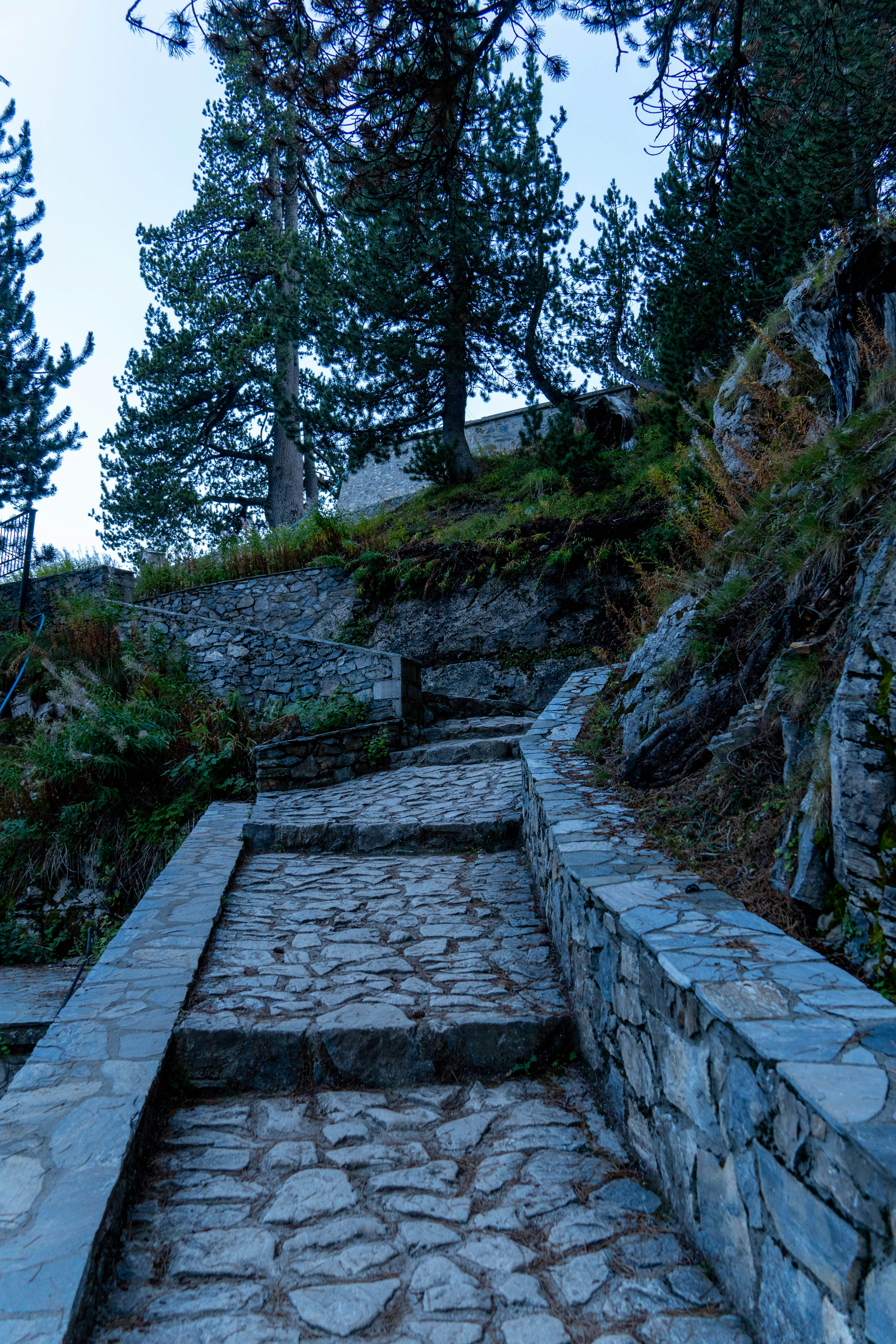 Photo by lostillusion