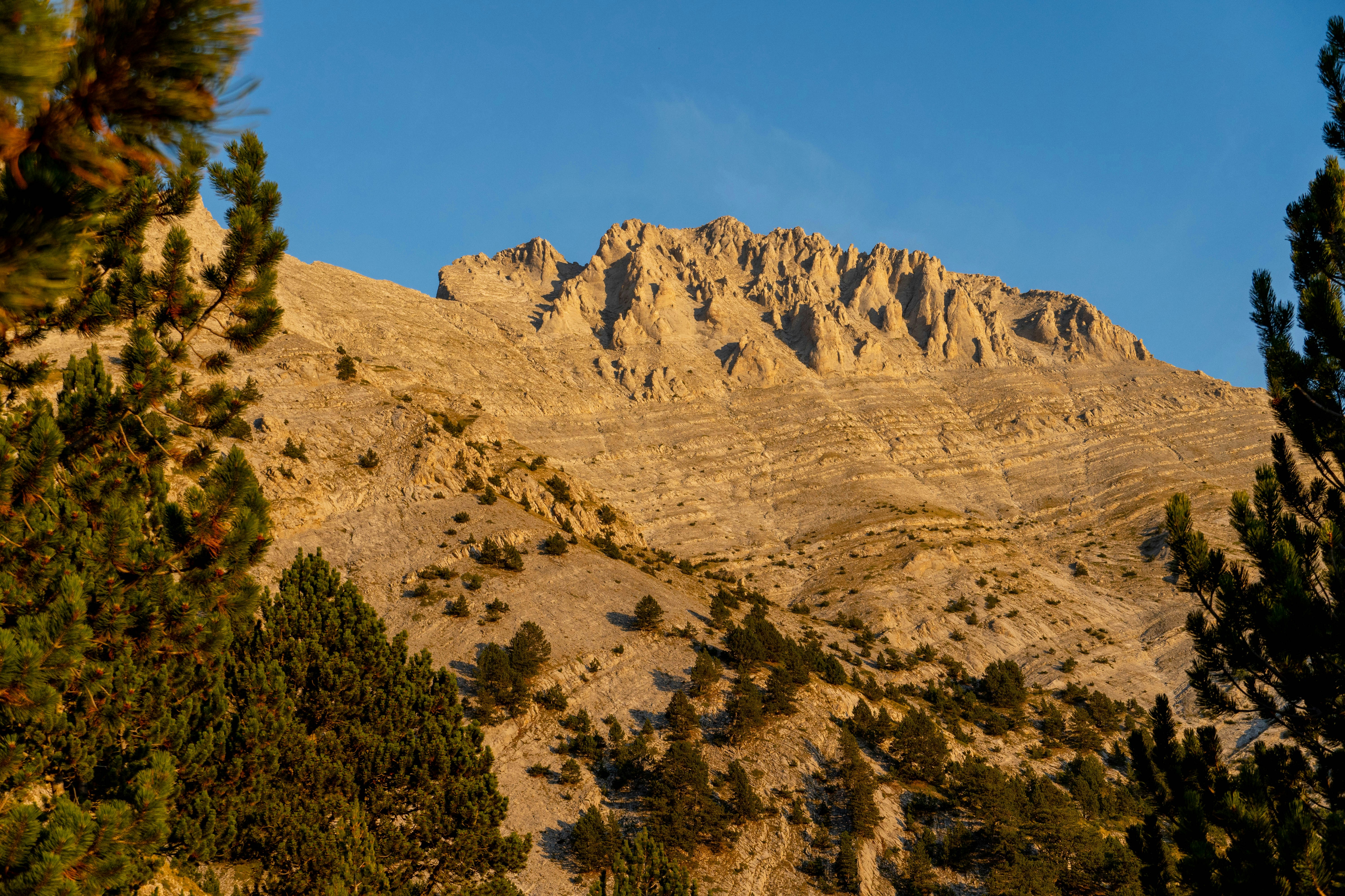 Photo by lostillusion