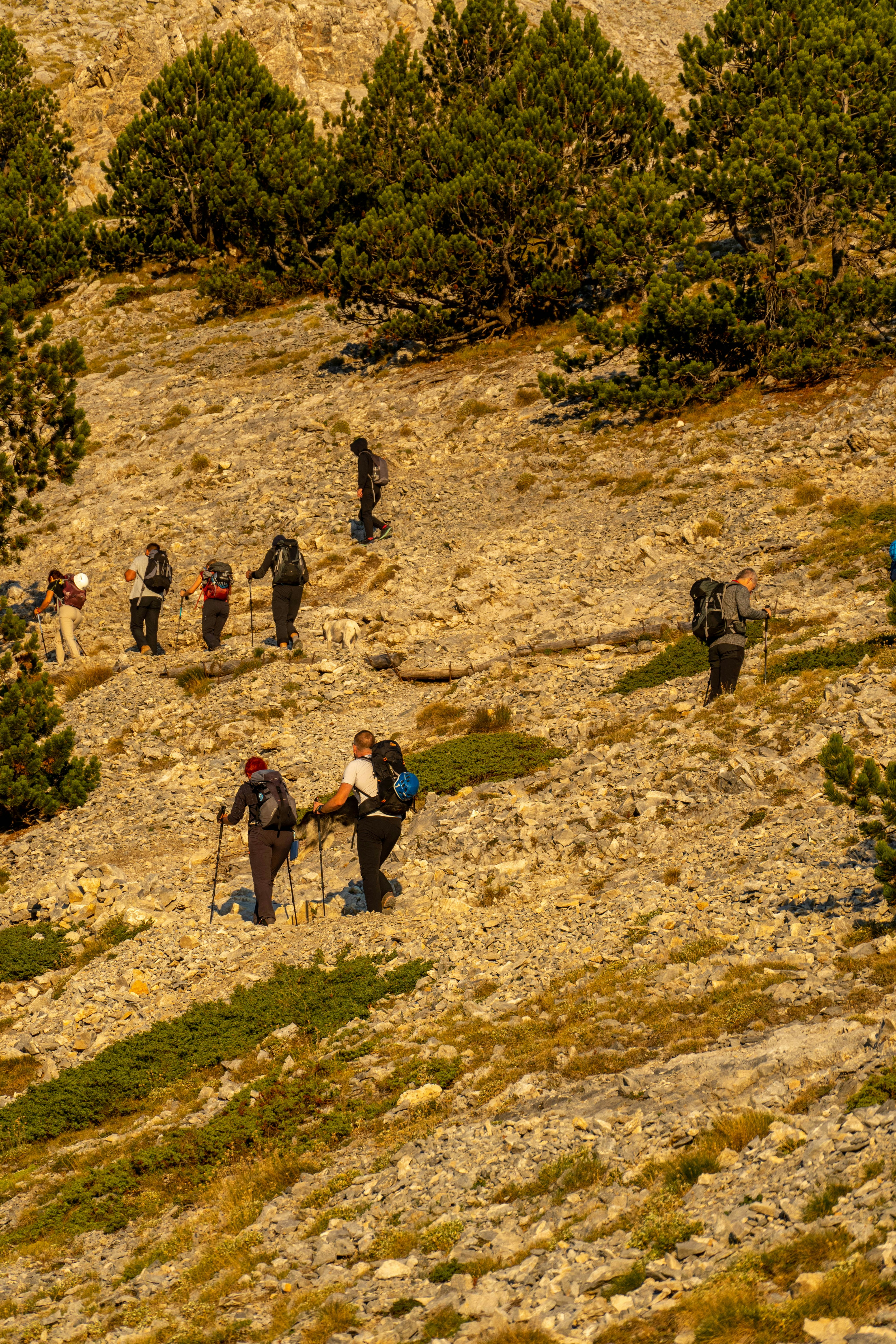 a group of people hiking up a hill