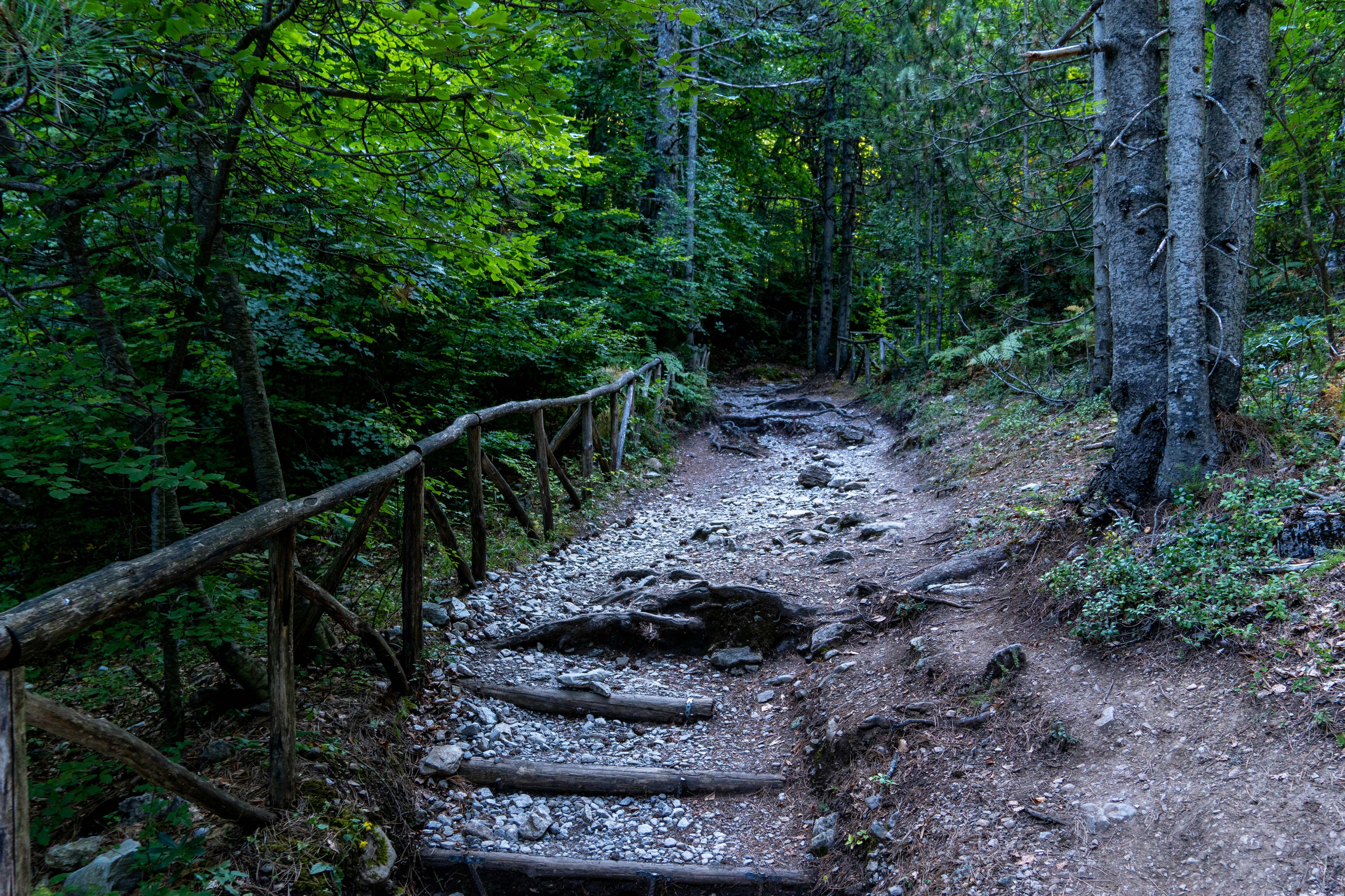 Photo by lostillusion