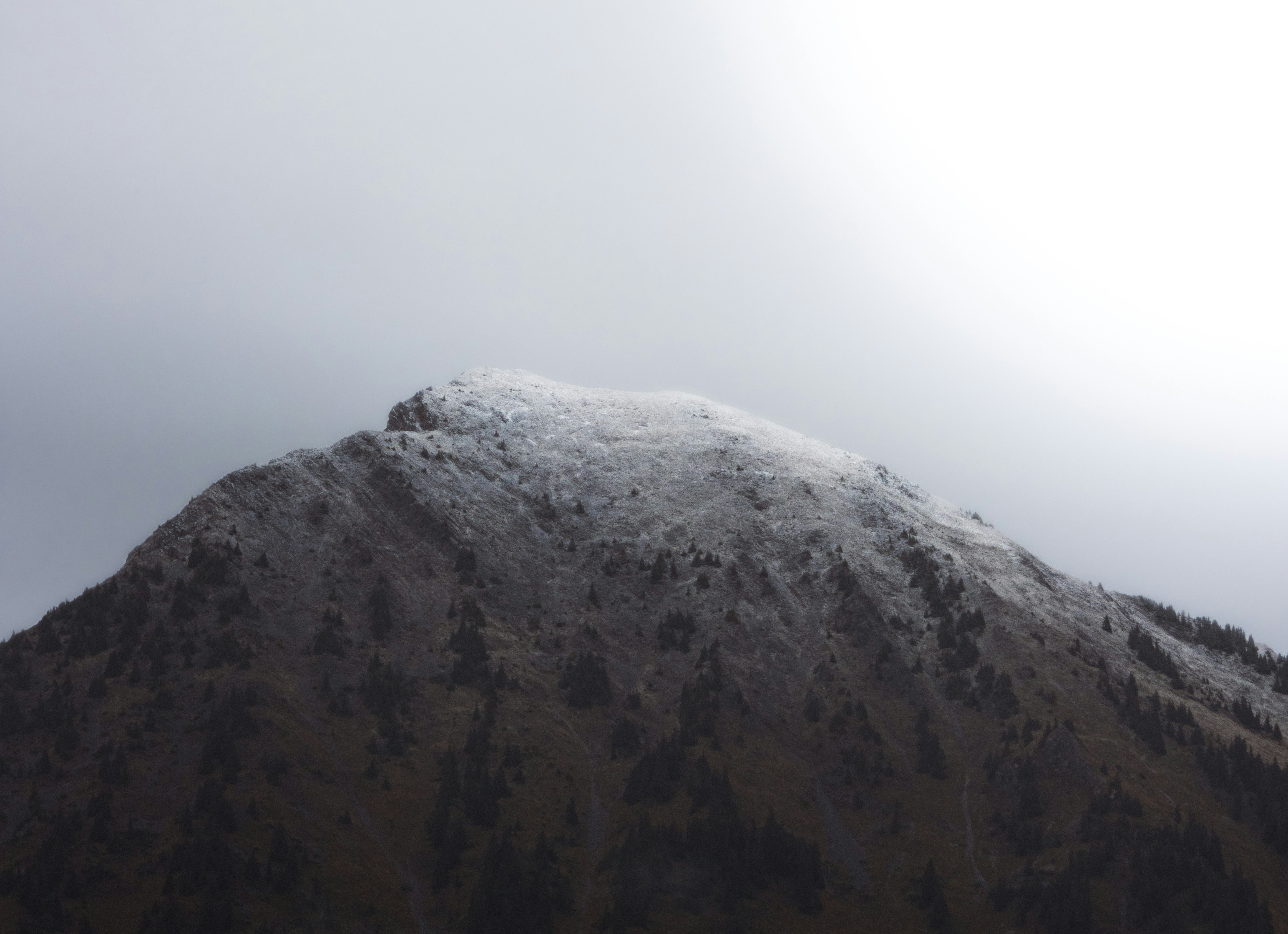 Photo by nathanael240606