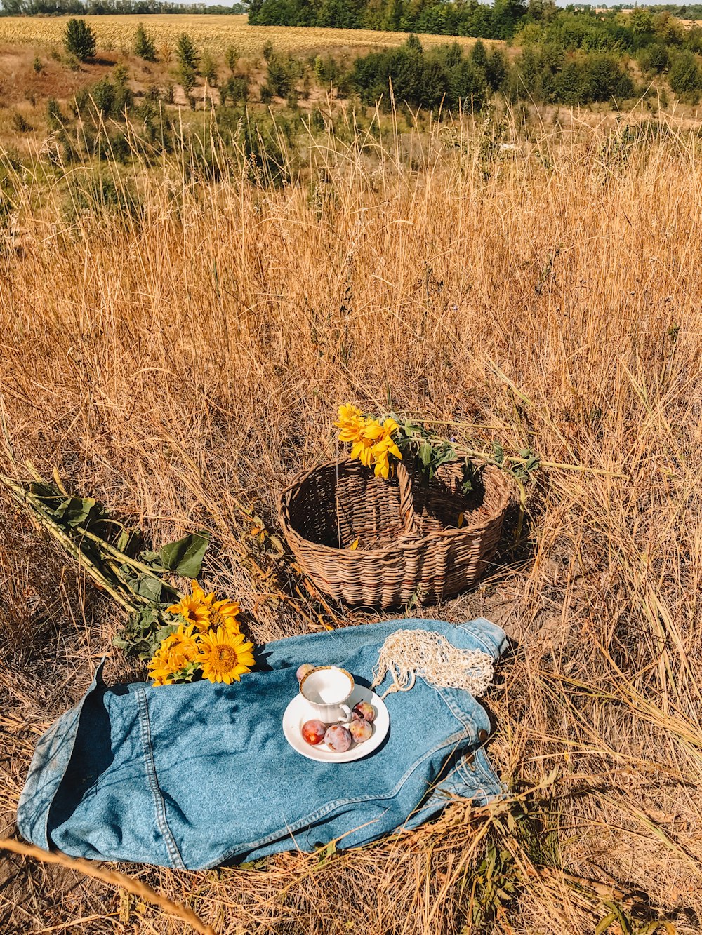a picnic in the middle of a field with sunflowers