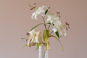 Graceful Lily Journal