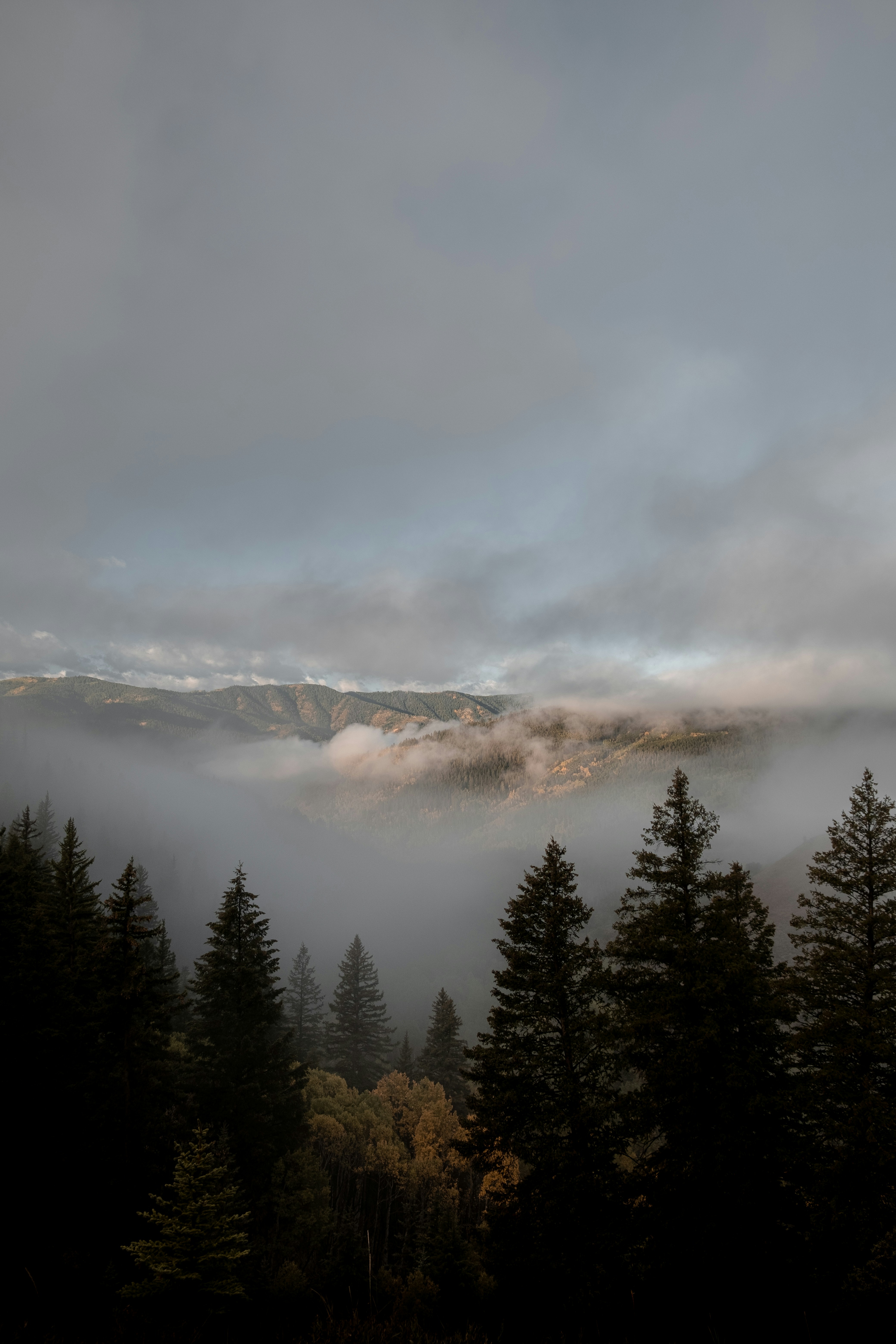 Photo by samsheppardphoto